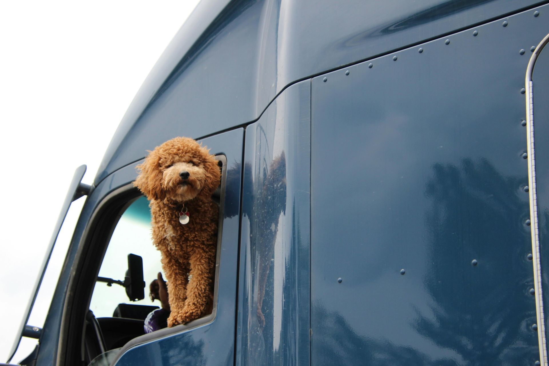 Texas owner-operator semi truck cab driving without a trailer representing bobtail and non-trucking
