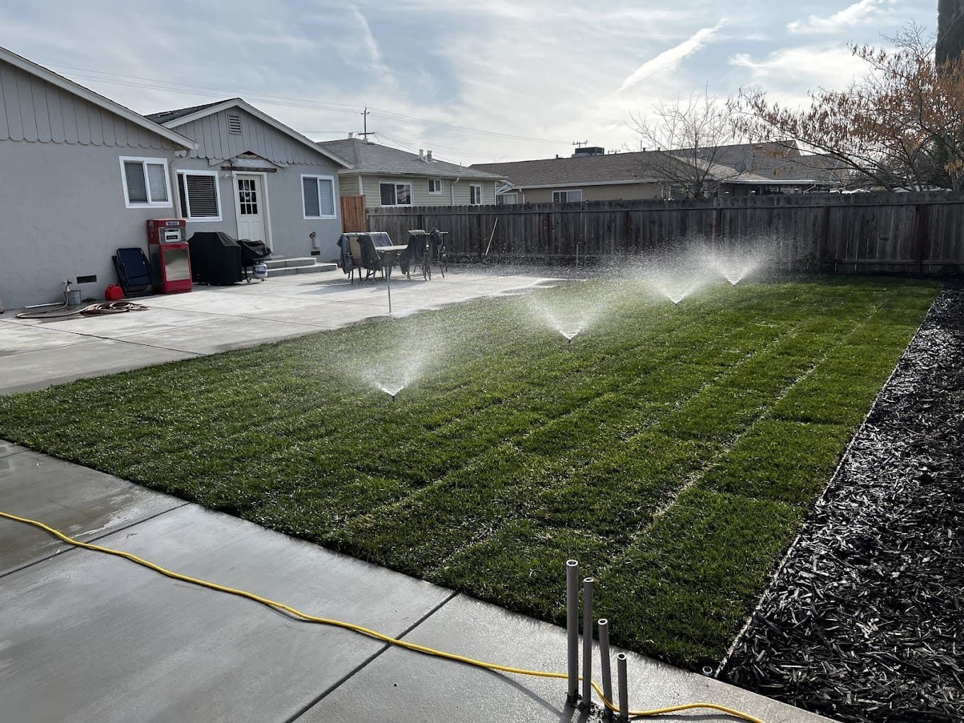 Lush natural grass backyard with sprinklers running, providing irrigation for a healthy green lawn