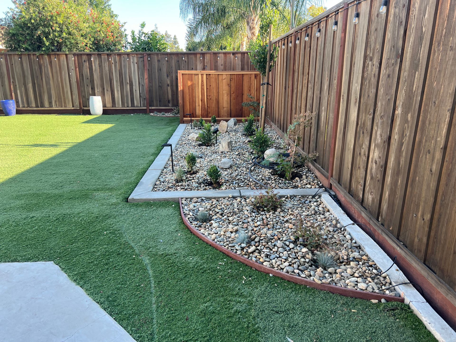 Decorative plants and rocks arranged in a modern Stockton landscape design for outdoor living