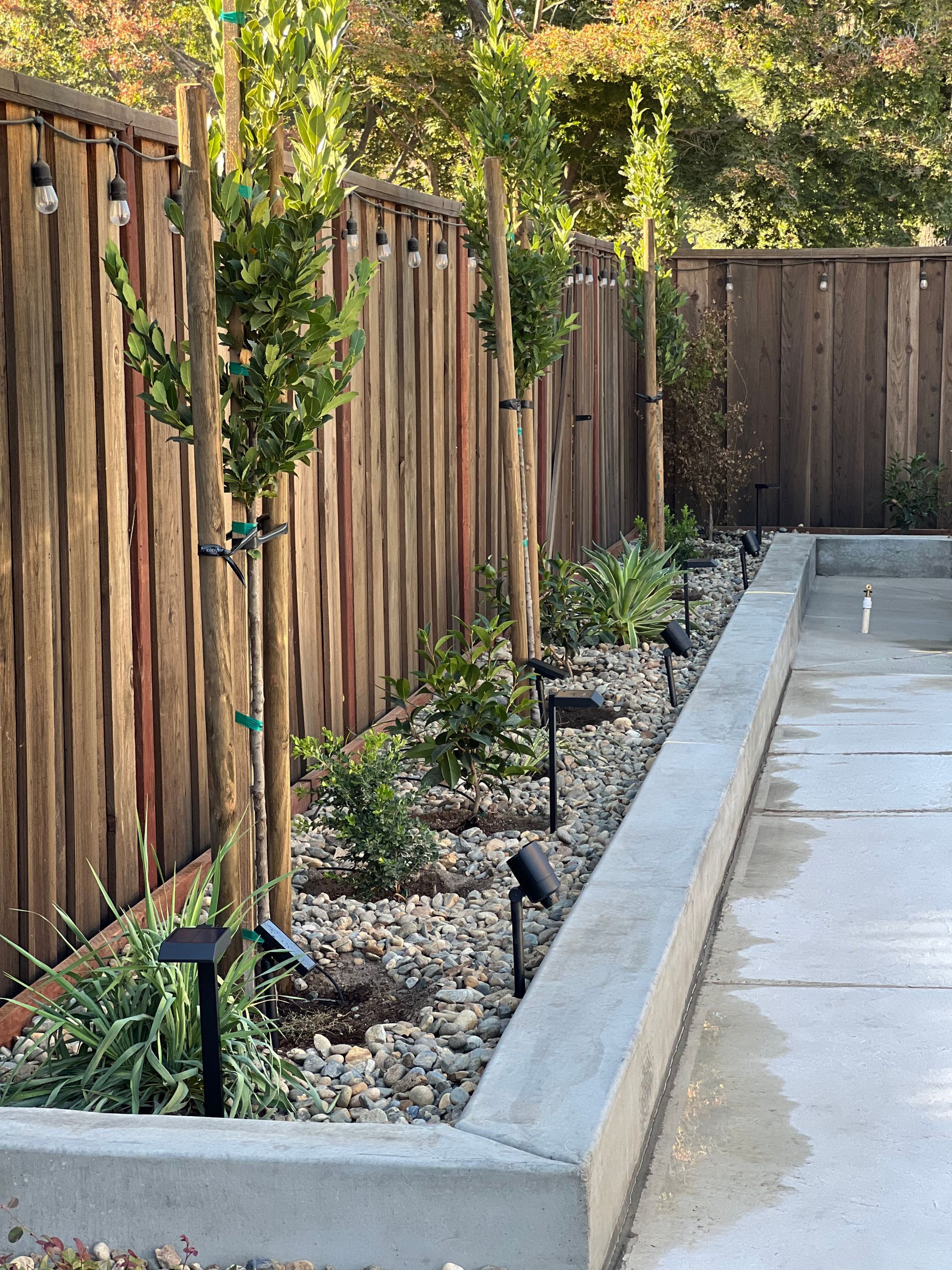 Landscape design with rock and plants in Stockton CA.
