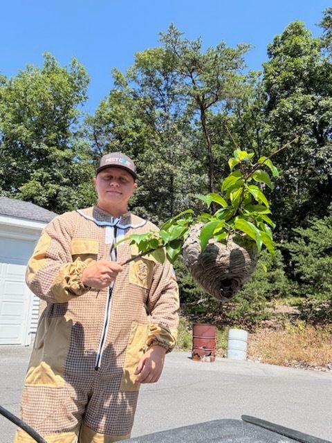 Man in protective suit holds a large wasp nest with foliage, standing outside under a blue sky and trees.