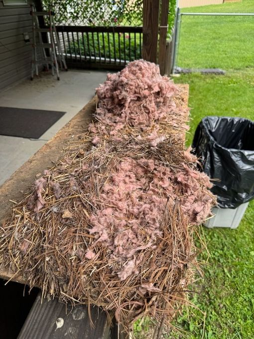 Pile of pink insulation and nesting materials on a wooden surface, next to a trash bag on a green lawn.