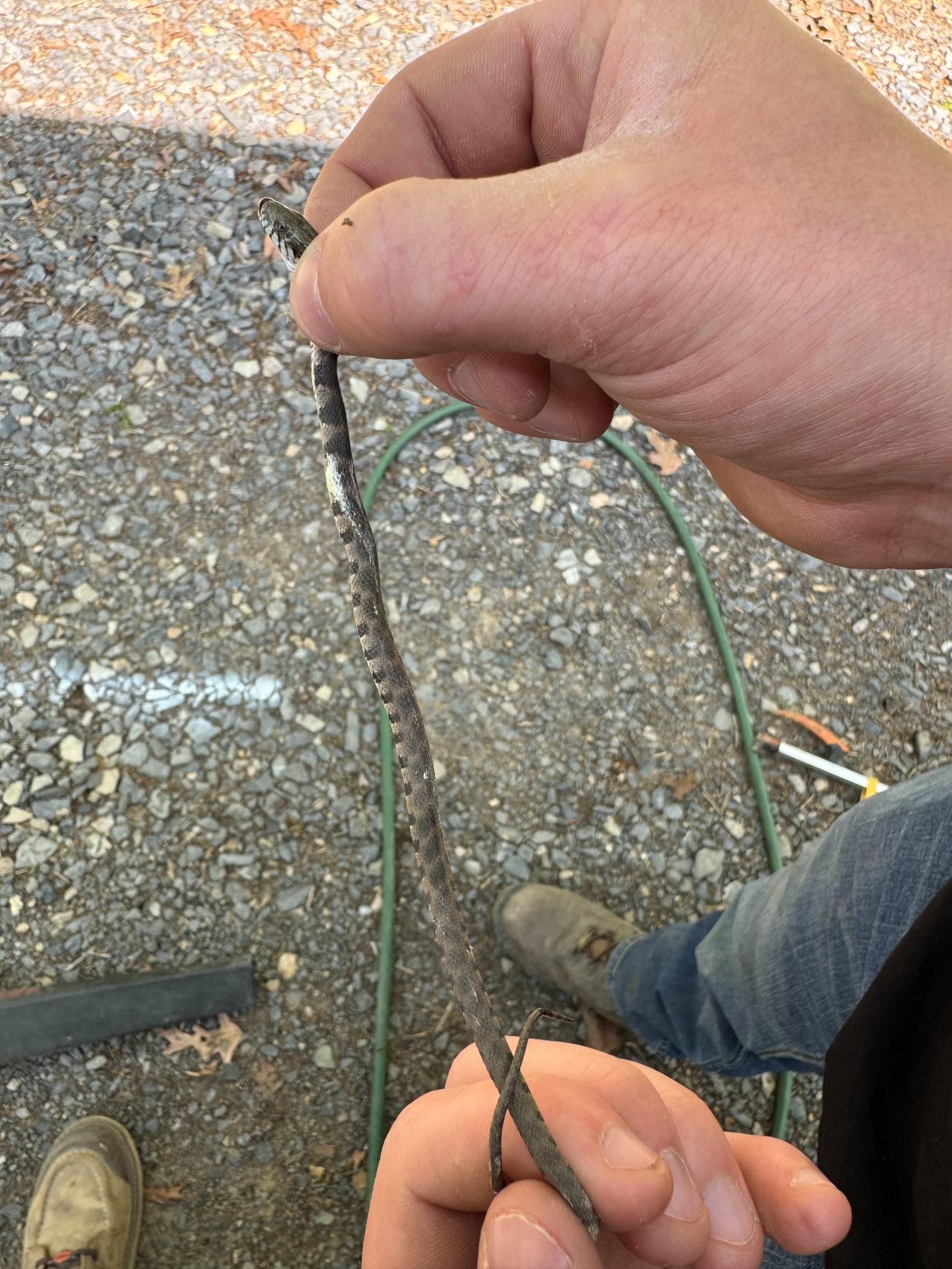 A person is holding a piece of metal in their hand.