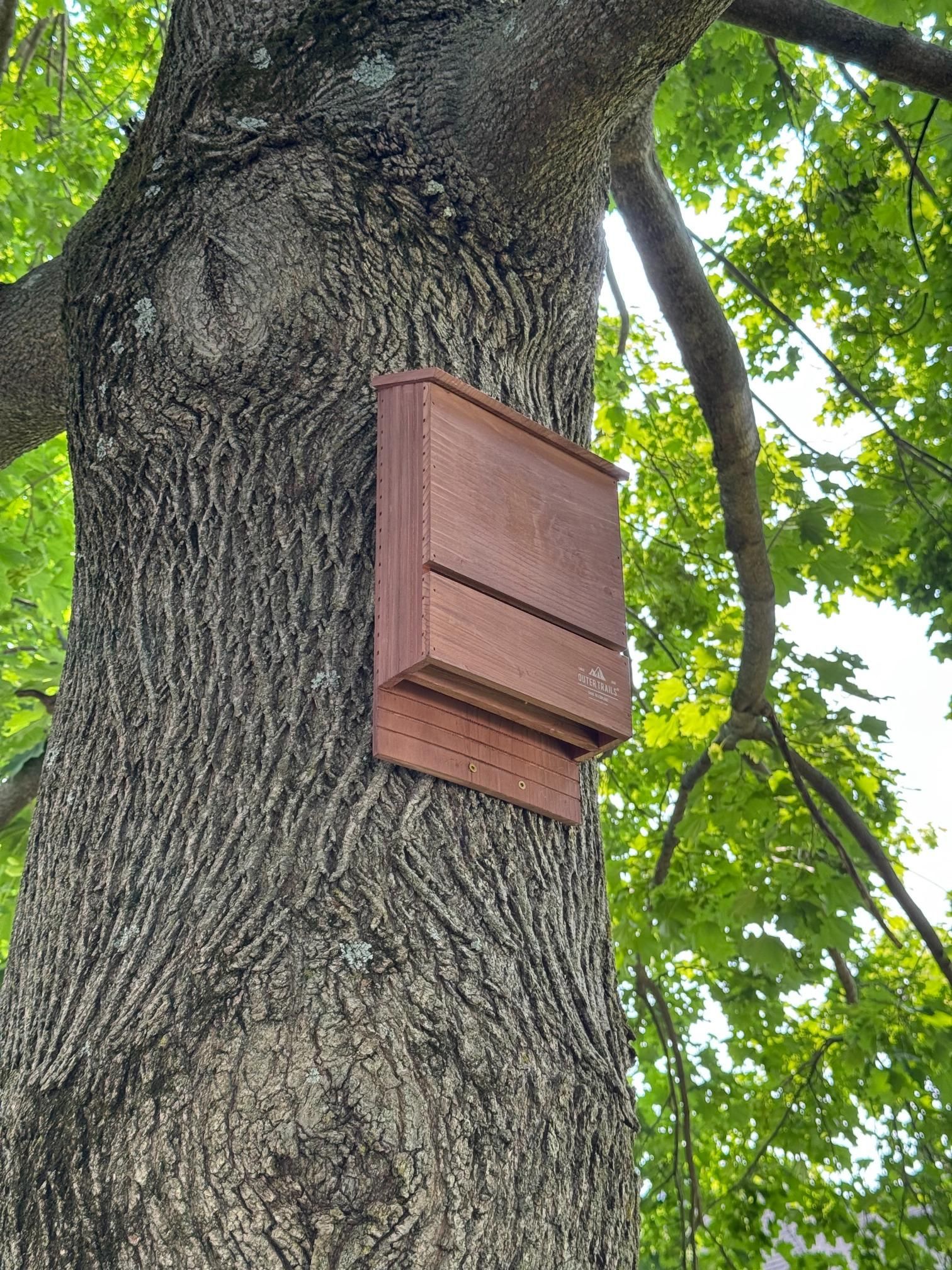 Brown bat house mounted on a tree trunk. Green leaves in background.