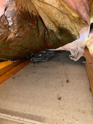 Attic interior with dark debris on floor, stained insulation, and structural beams.