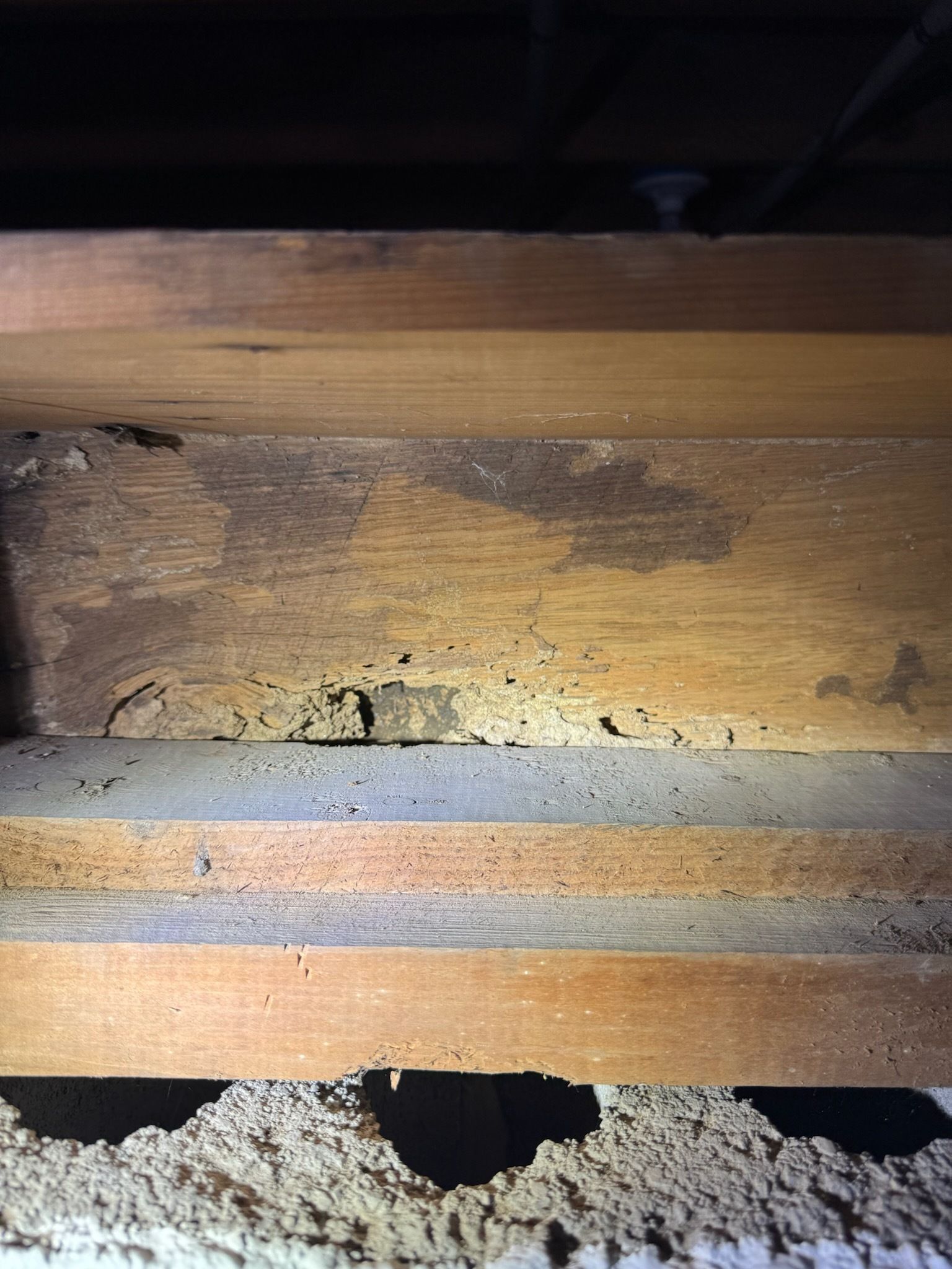 Wooden beams with termite damage, near a concrete foundation.