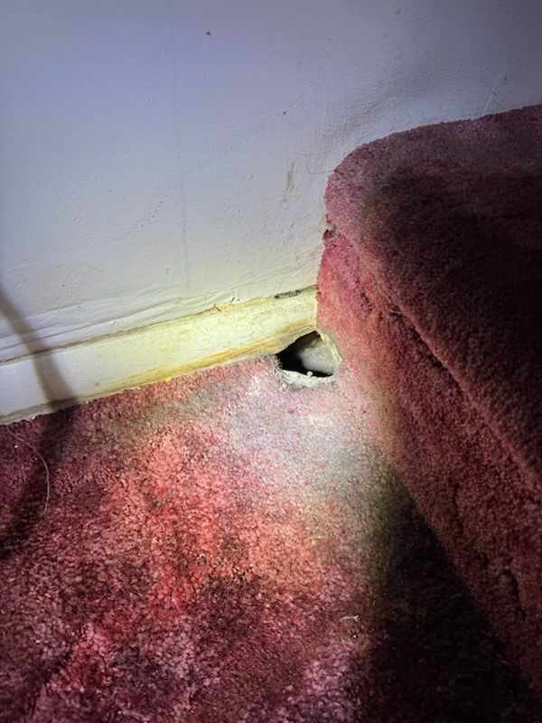 Dark hole between a red carpet and a white wall, illuminated by a light.