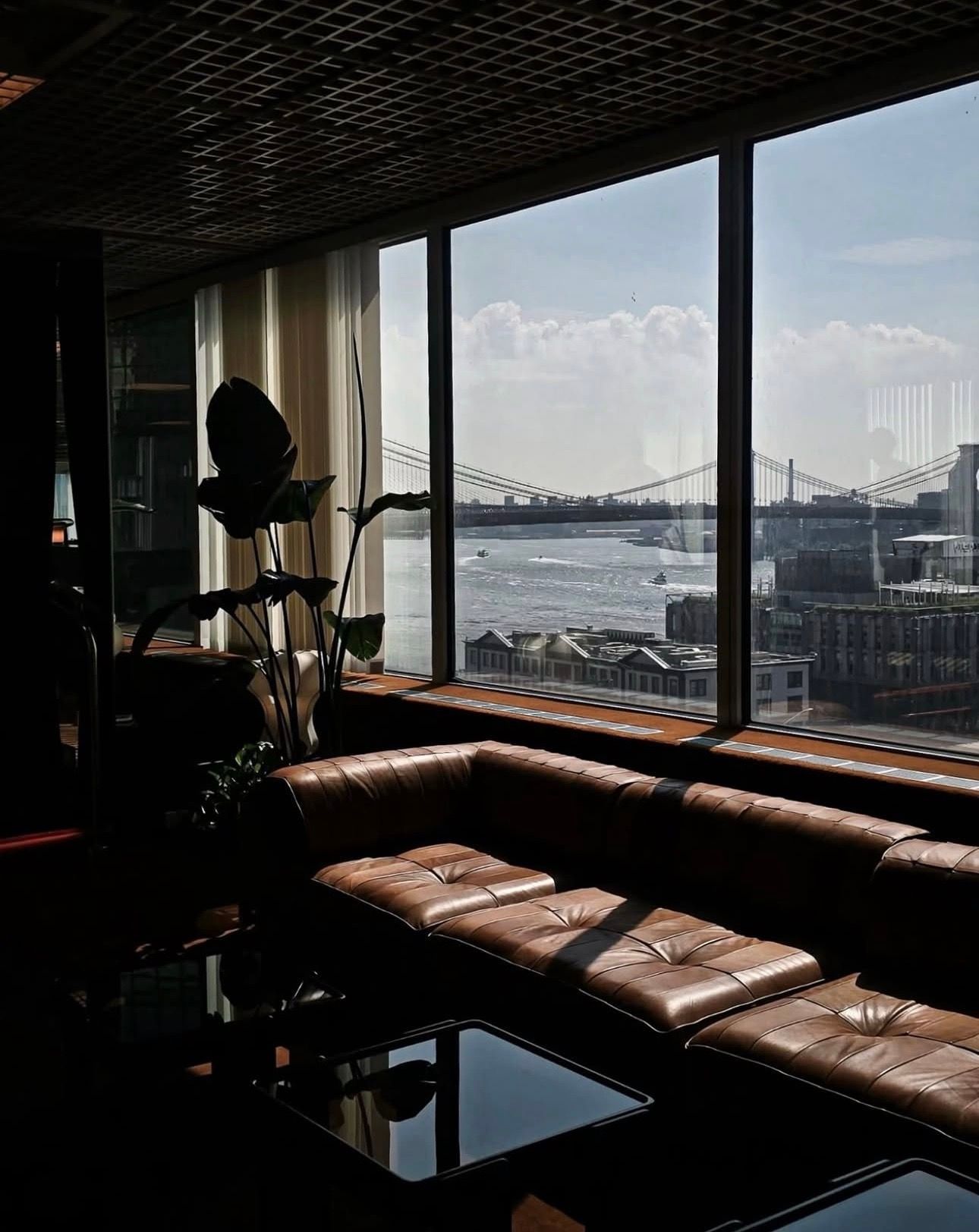 Massage table in a white room, viewed through an open doorway, with a plant in the foreground.
