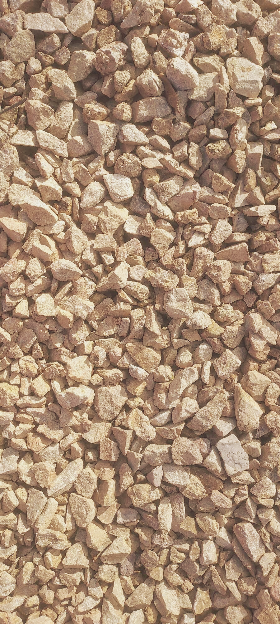 Brown Beech Llynclys gravel