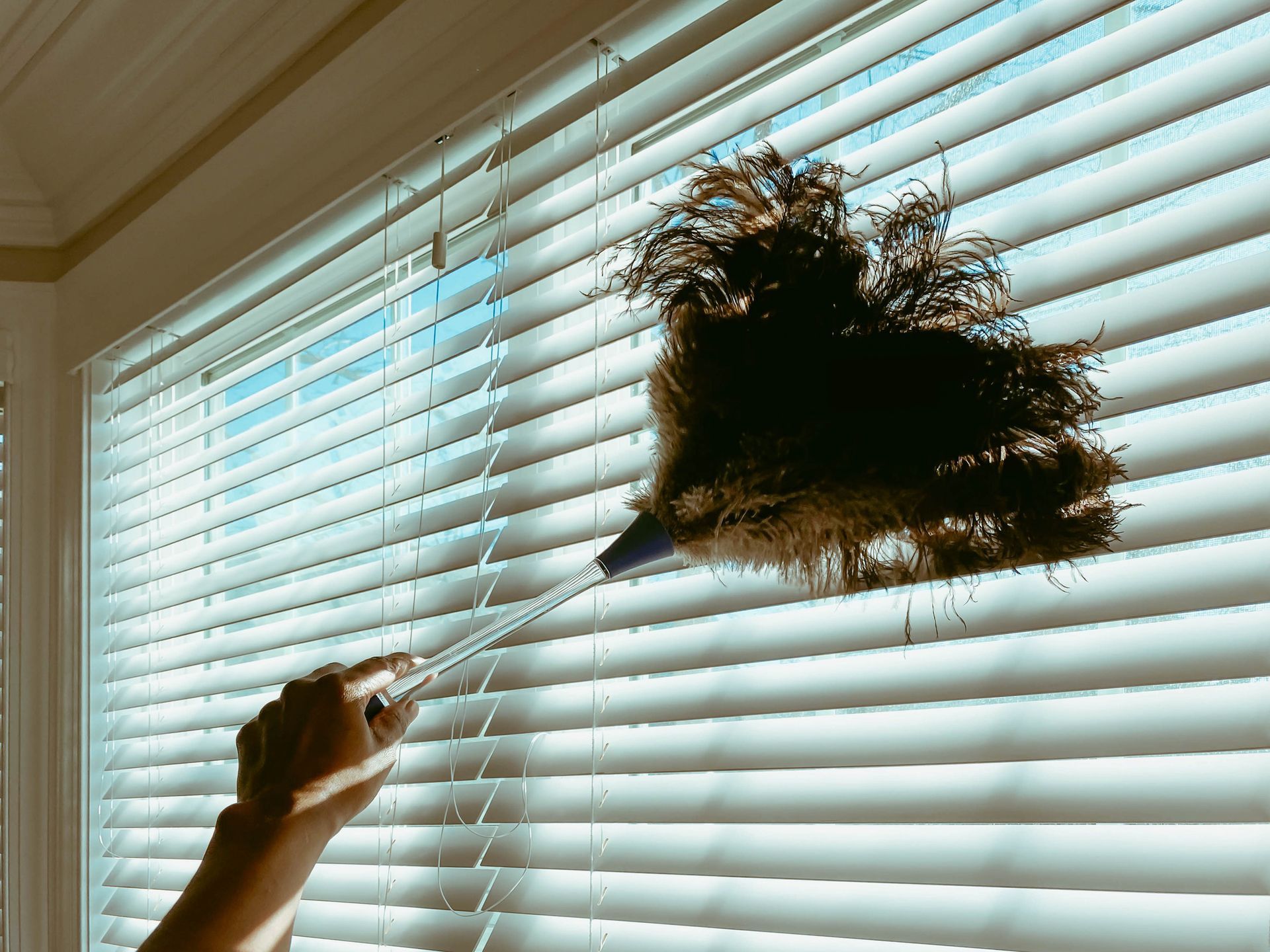 Person dusting window blinds with feather duster during blind cleaning in natural daylight.