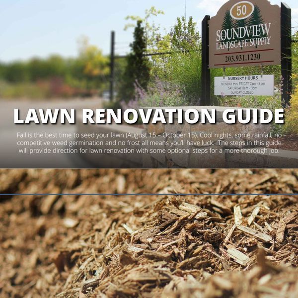 Lawn renovation guide with text on a background of wood chips and a blurred landscape supply store.