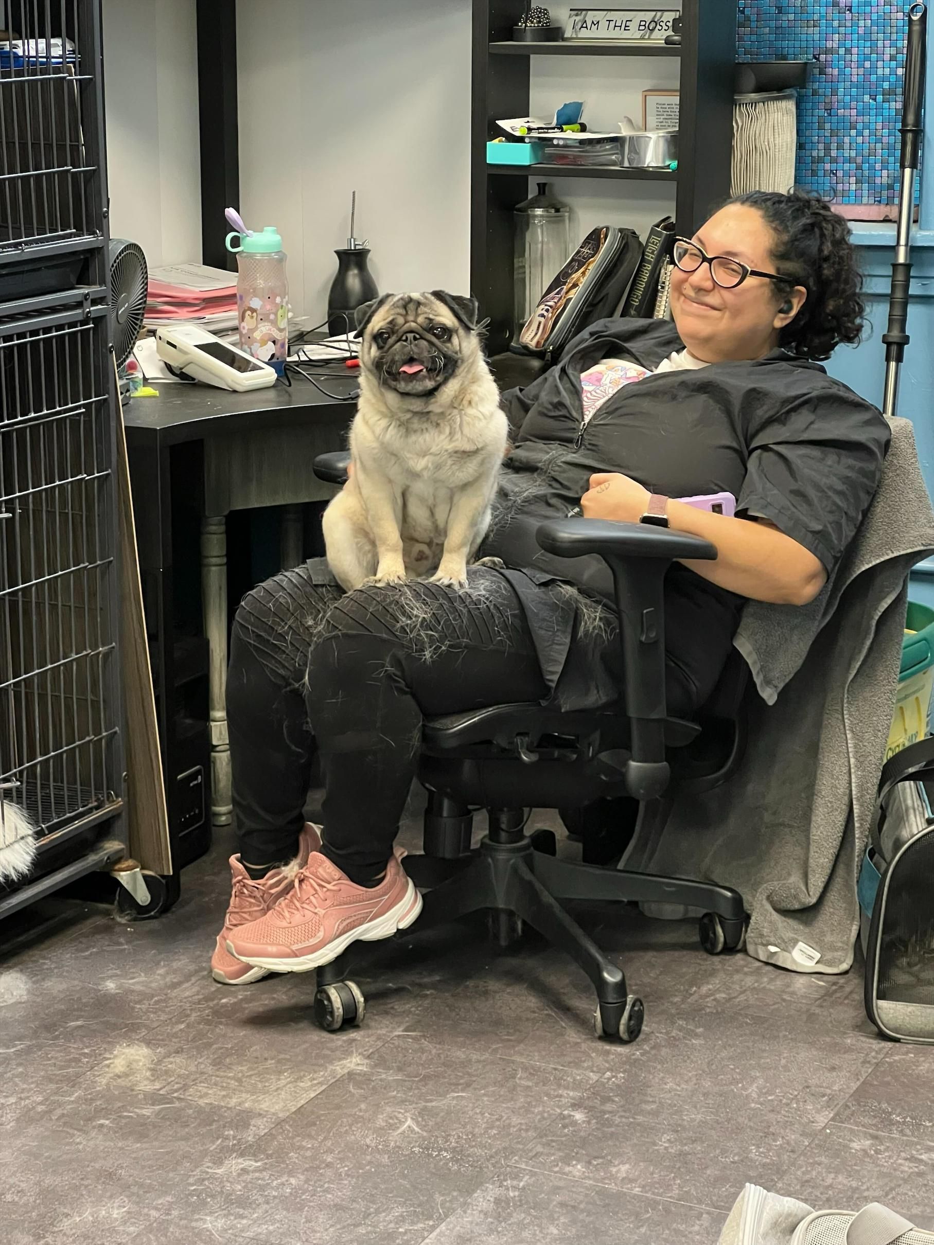 Pet Grooming Schedules