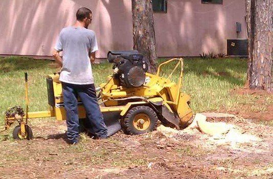 Man Using Stump Grinder Equipment — Palm Bay, FL — A Advanced Tree Service