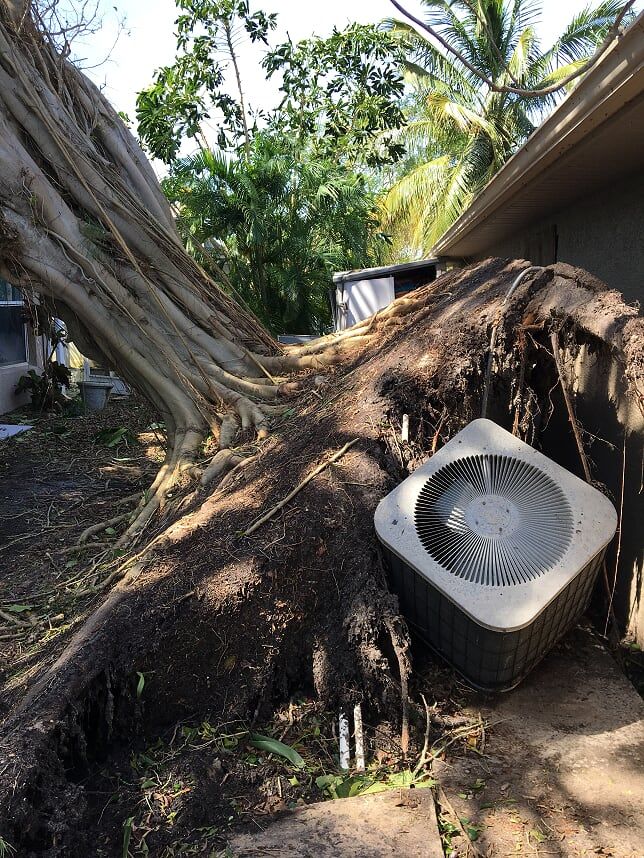 Damage Caused by Hurricane — Palm Bay, FL — A Advanced Tree Service