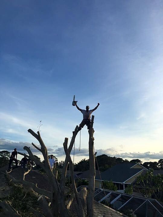 Man Standing at The Tree Top — Palm Bay, FL — A Advanced Tree Service