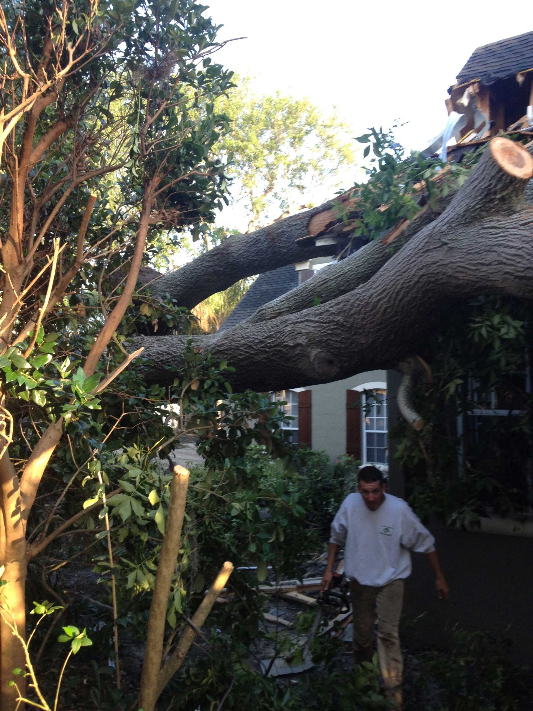Fallen Tree on House — Palm Bay, FL — A Advanced Tree Service