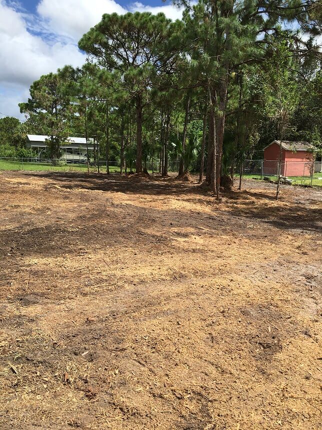 After Lot Clearing — Palm Bay, FL — A Advanced Tree Service