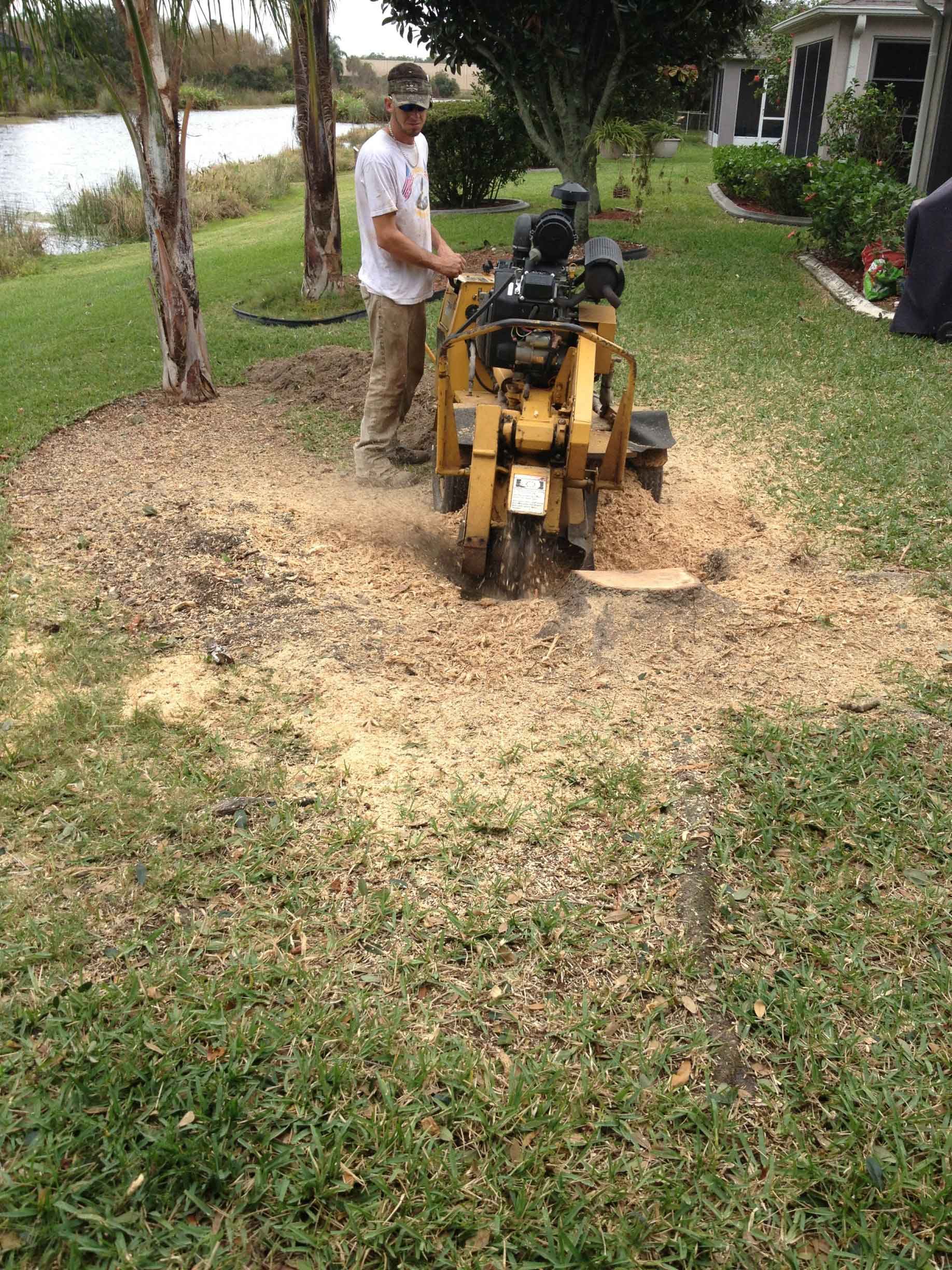 Lot Clearing Equipment — Palm Bay, FL — A Advanced Tree Service