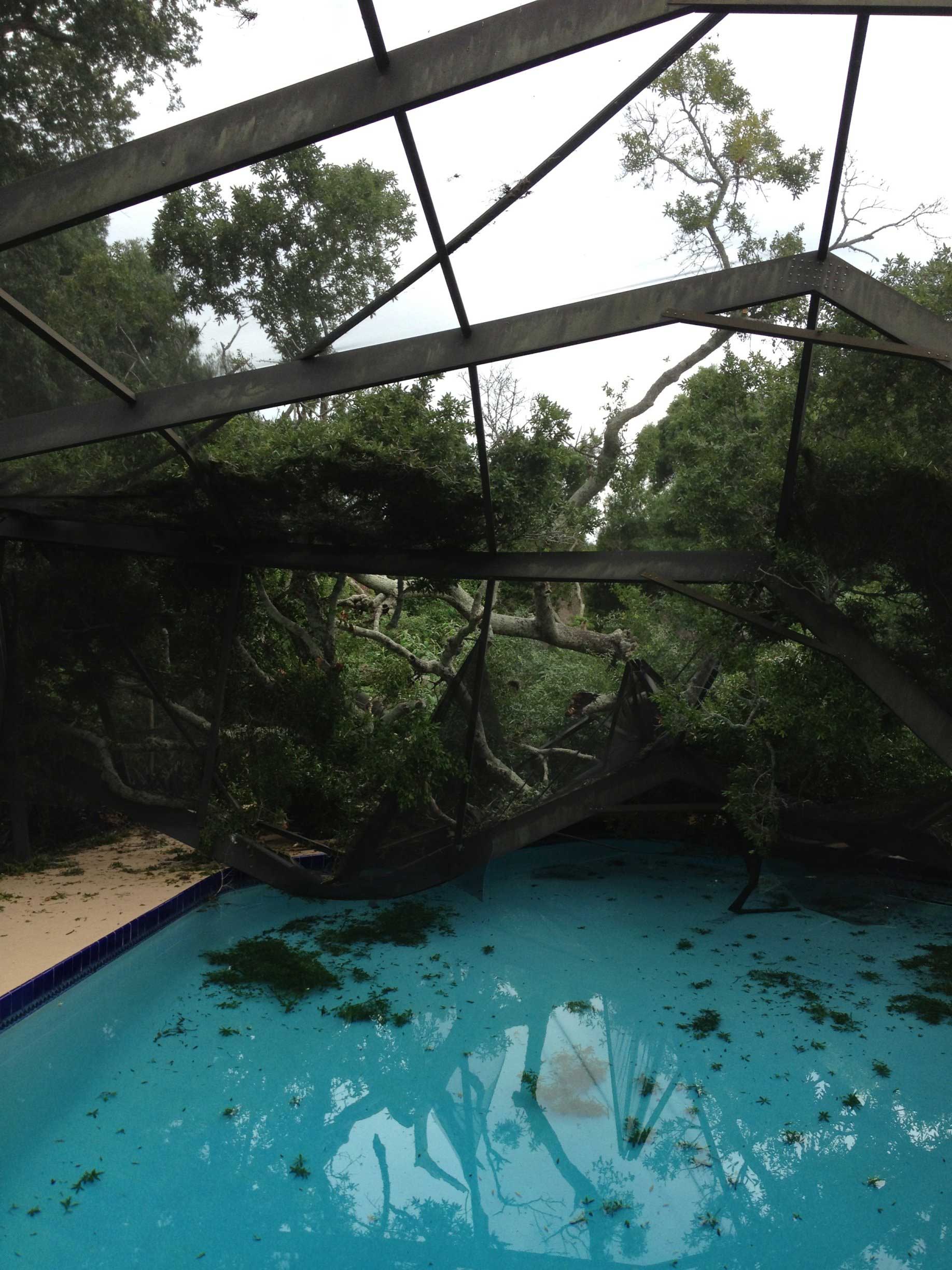 Tree Limbs in The Pool — Palm Bay, FL — A Advanced Tree Service