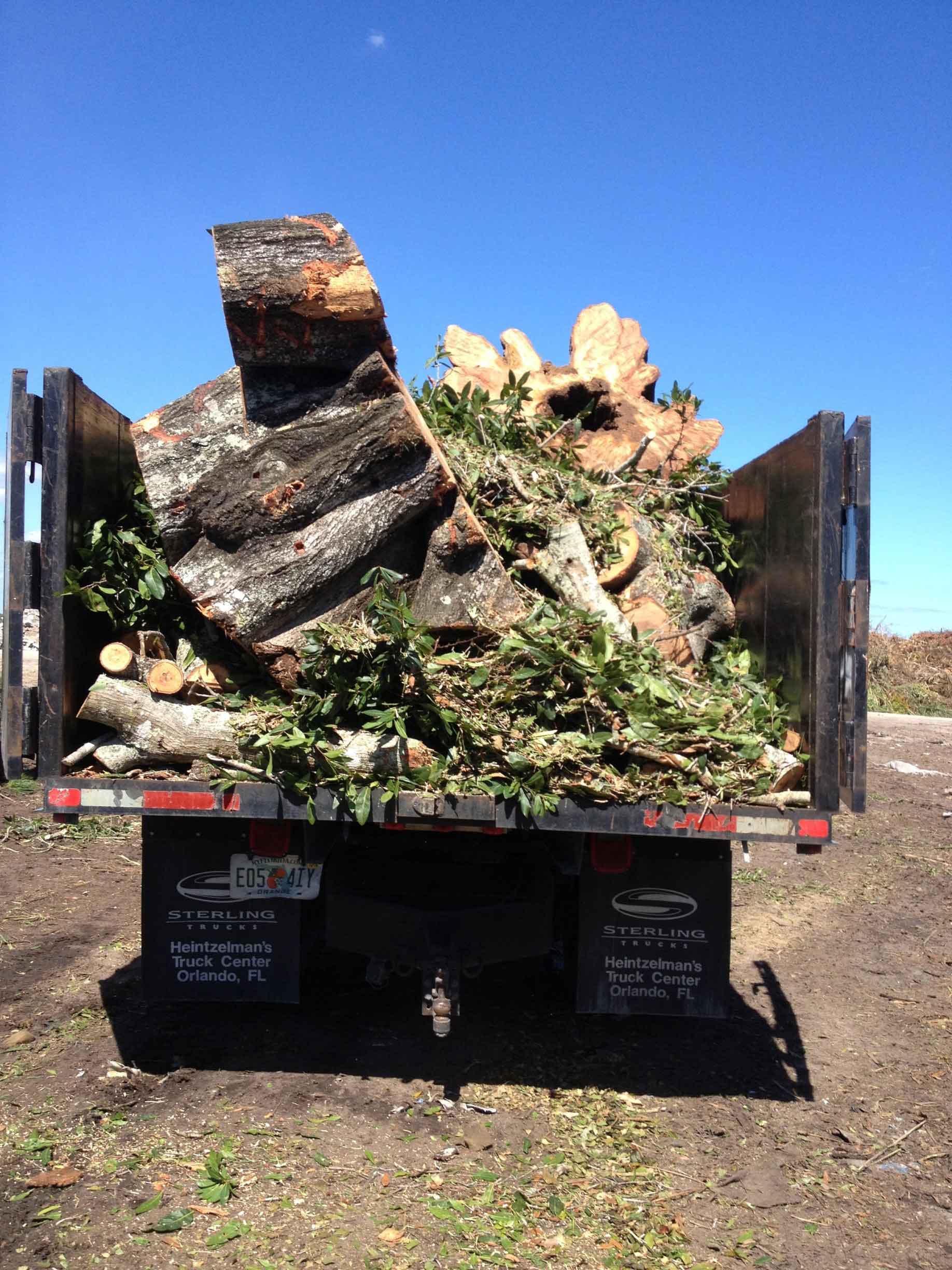 Truck Carrying Trees — Palm Bay, FL — A Advanced Tree Service