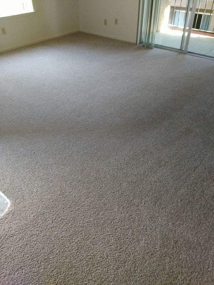 A living room with a carpeted floor and a sliding glass door.