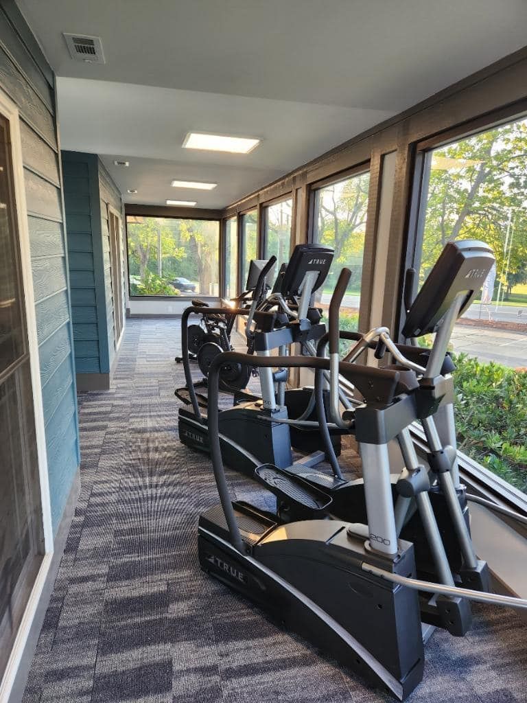 A row of ellipticals are lined up in a gym next to a window.
