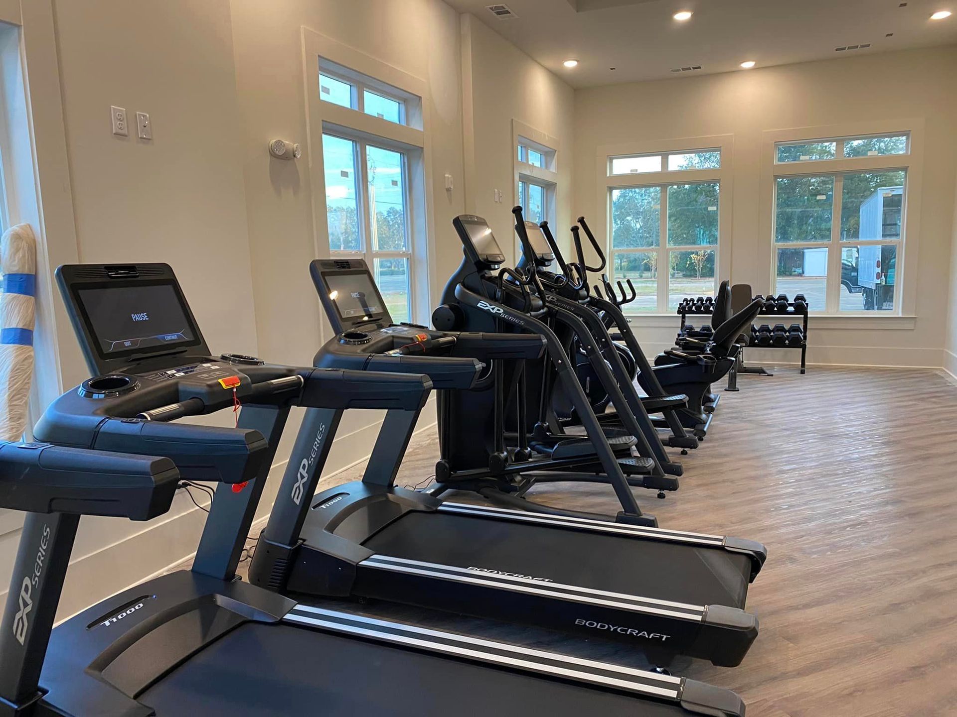 A row of treadmills and ellipticals in a gym.