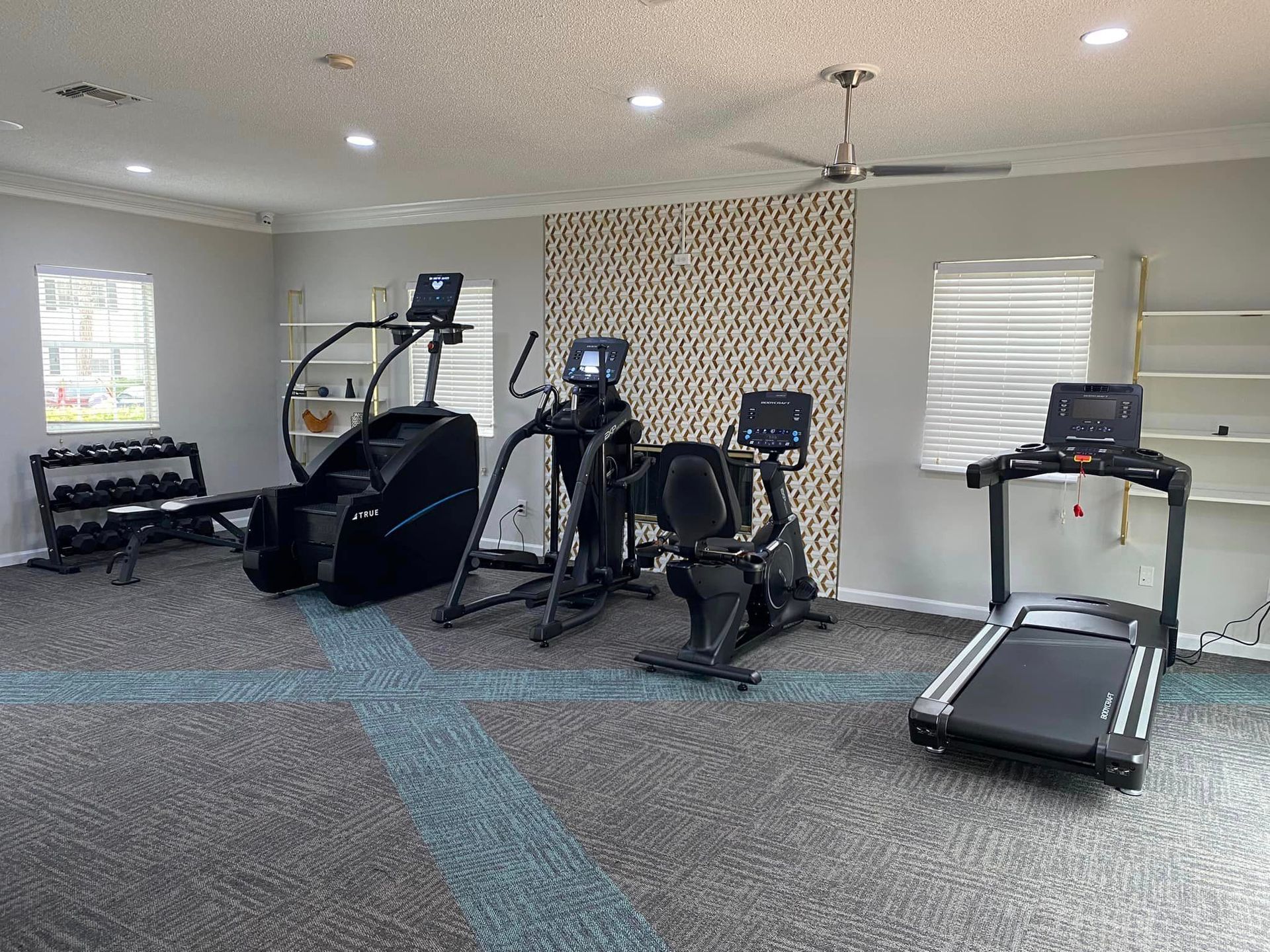 There are many different types of exercise equipment in this gym.