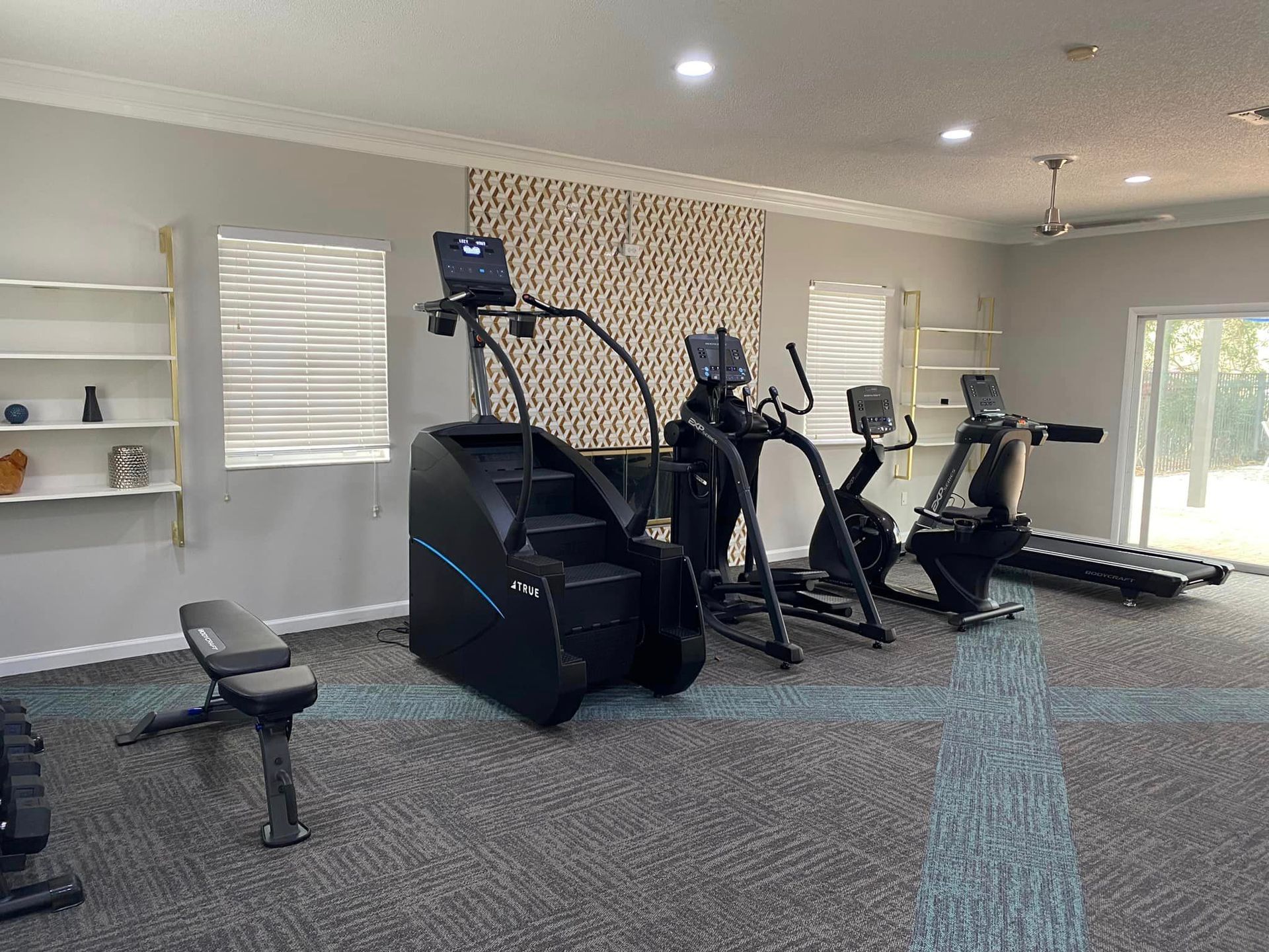 There are many different types of exercise equipment in this gym.