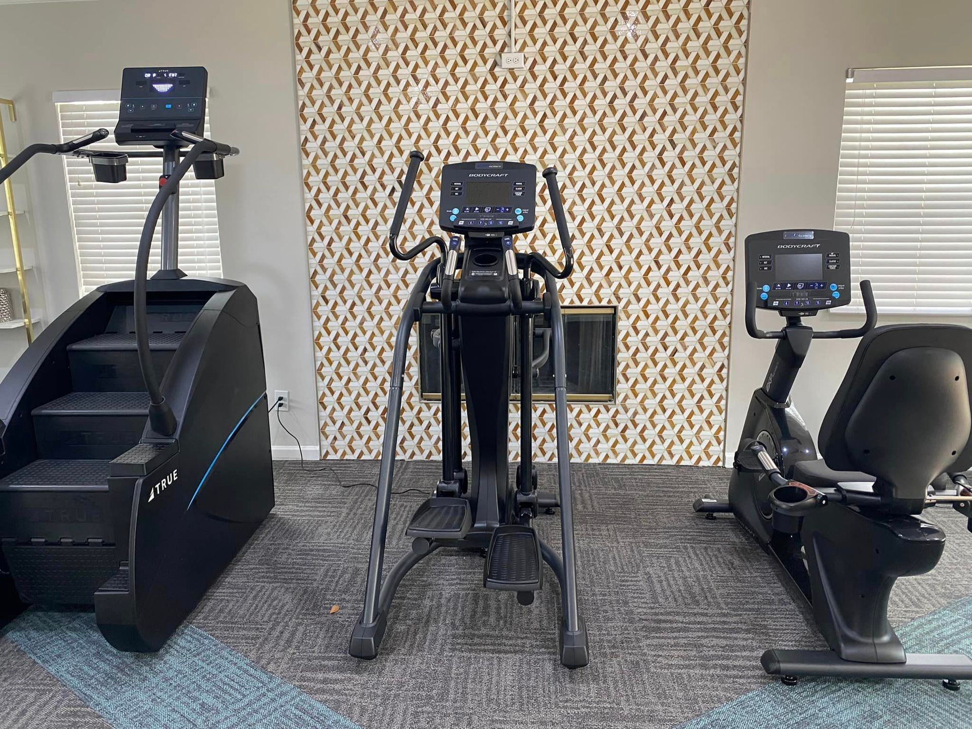 There are three different types of exercise bikes in the gym.