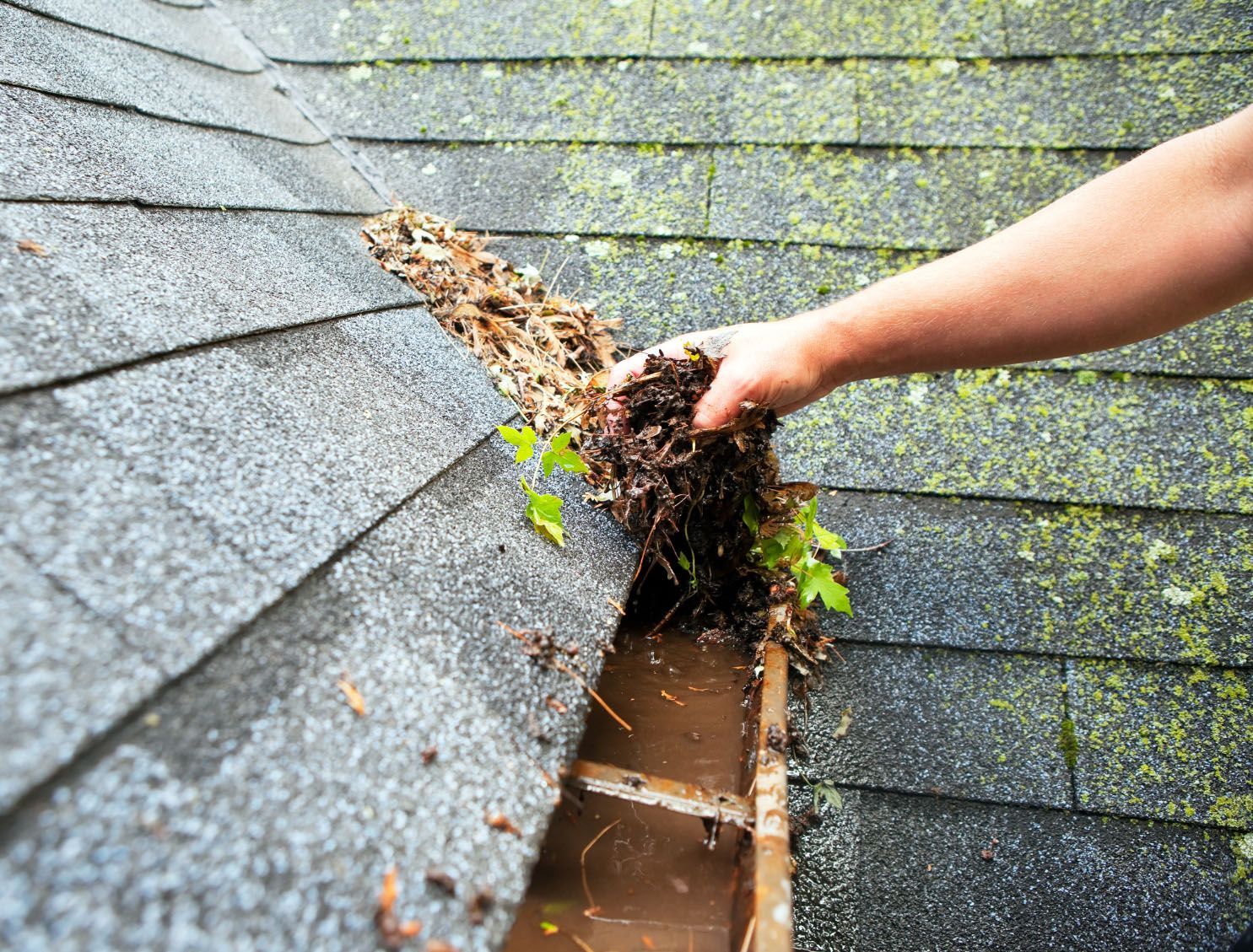 gutter-cleaning