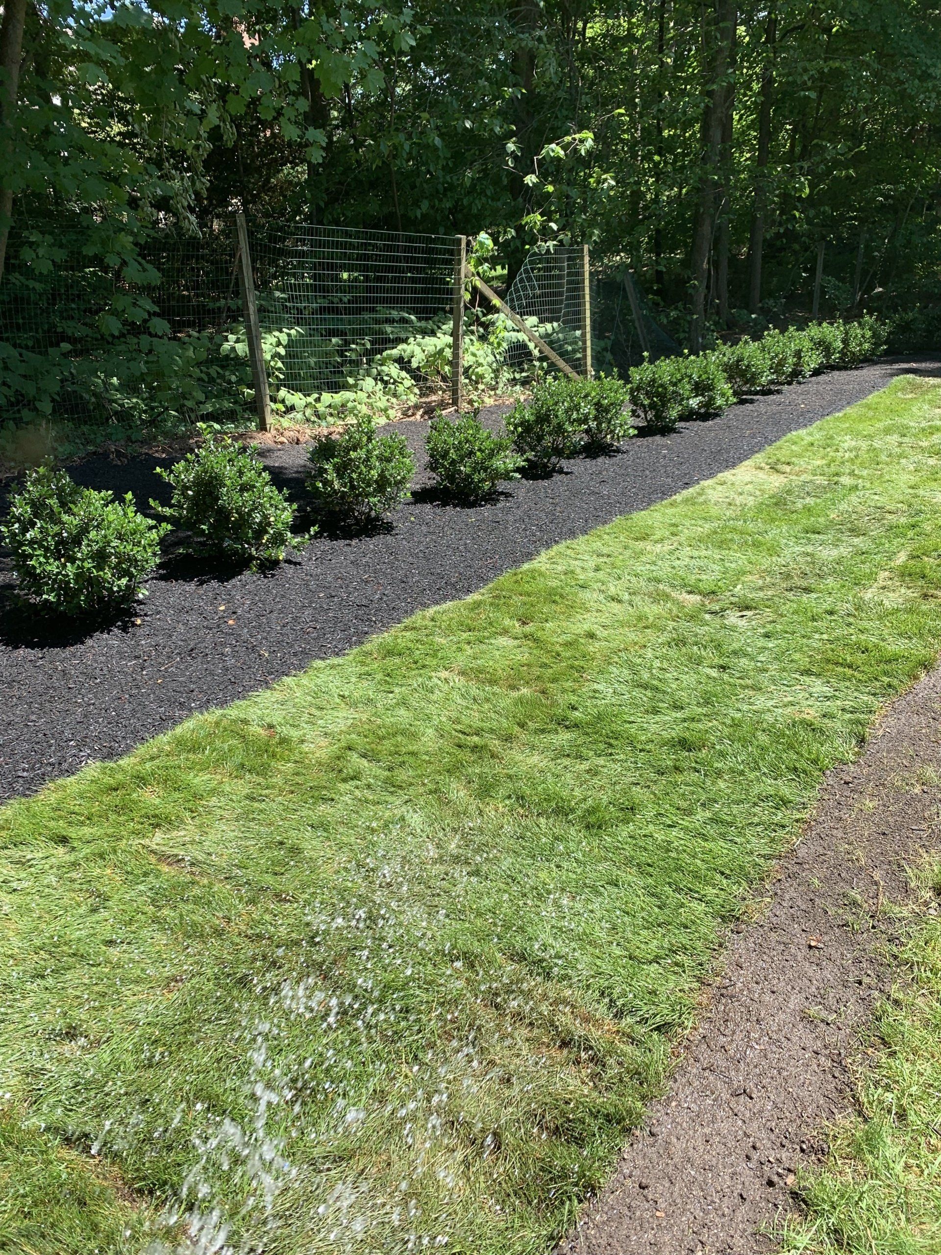 Commercial Landscape Management Services