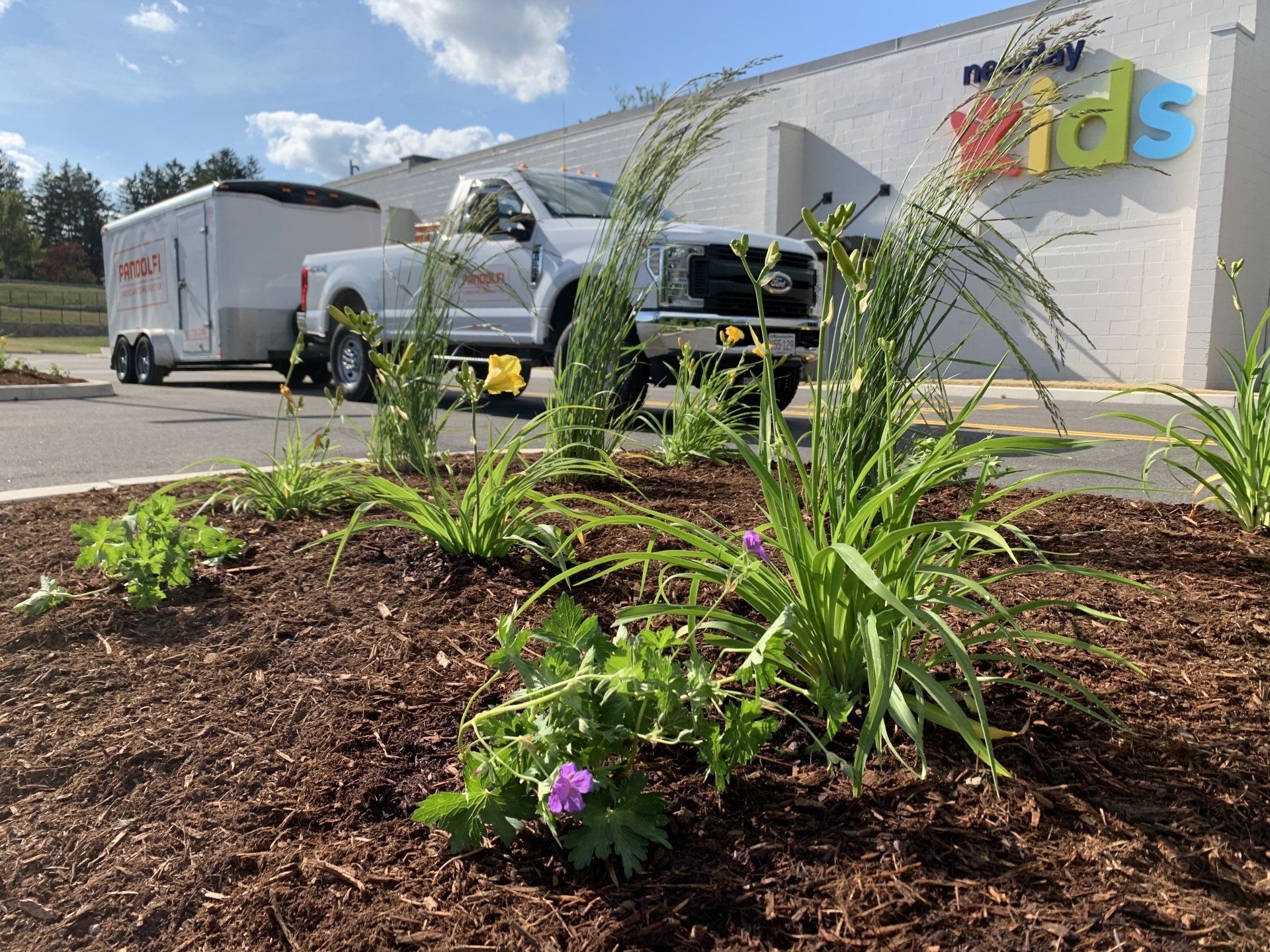 Commercial Landscape Management Services