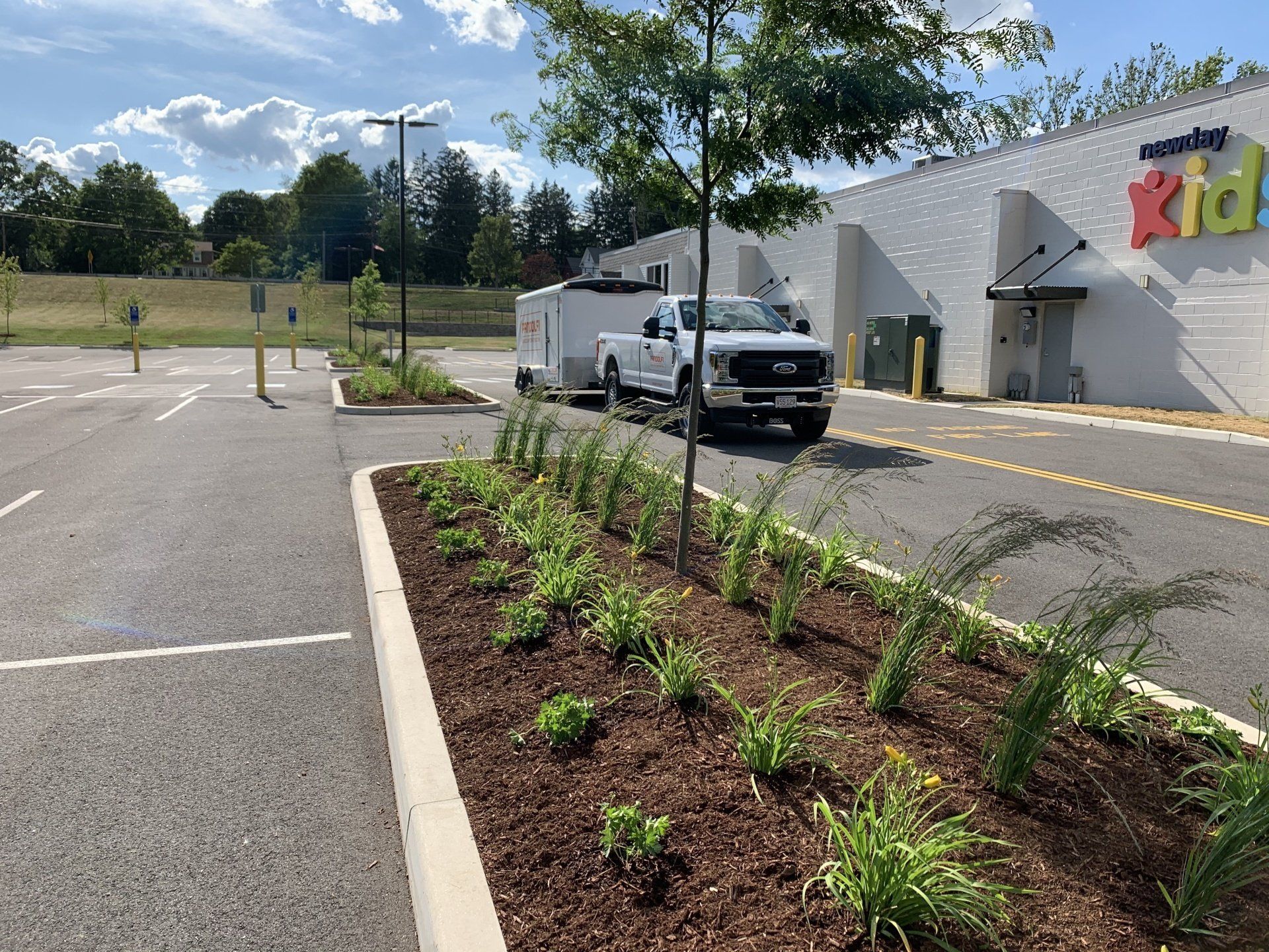 commercial landscape management