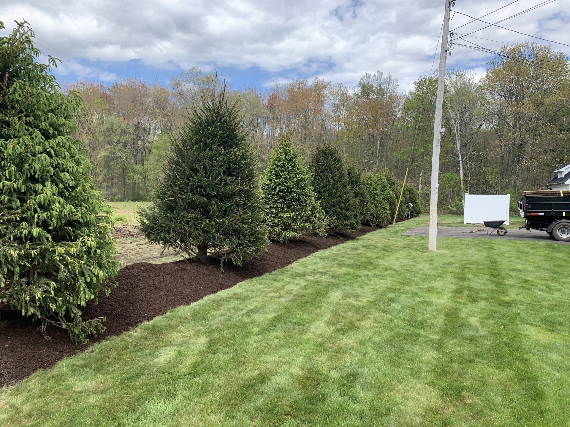 Commercial Landscape Management Services
