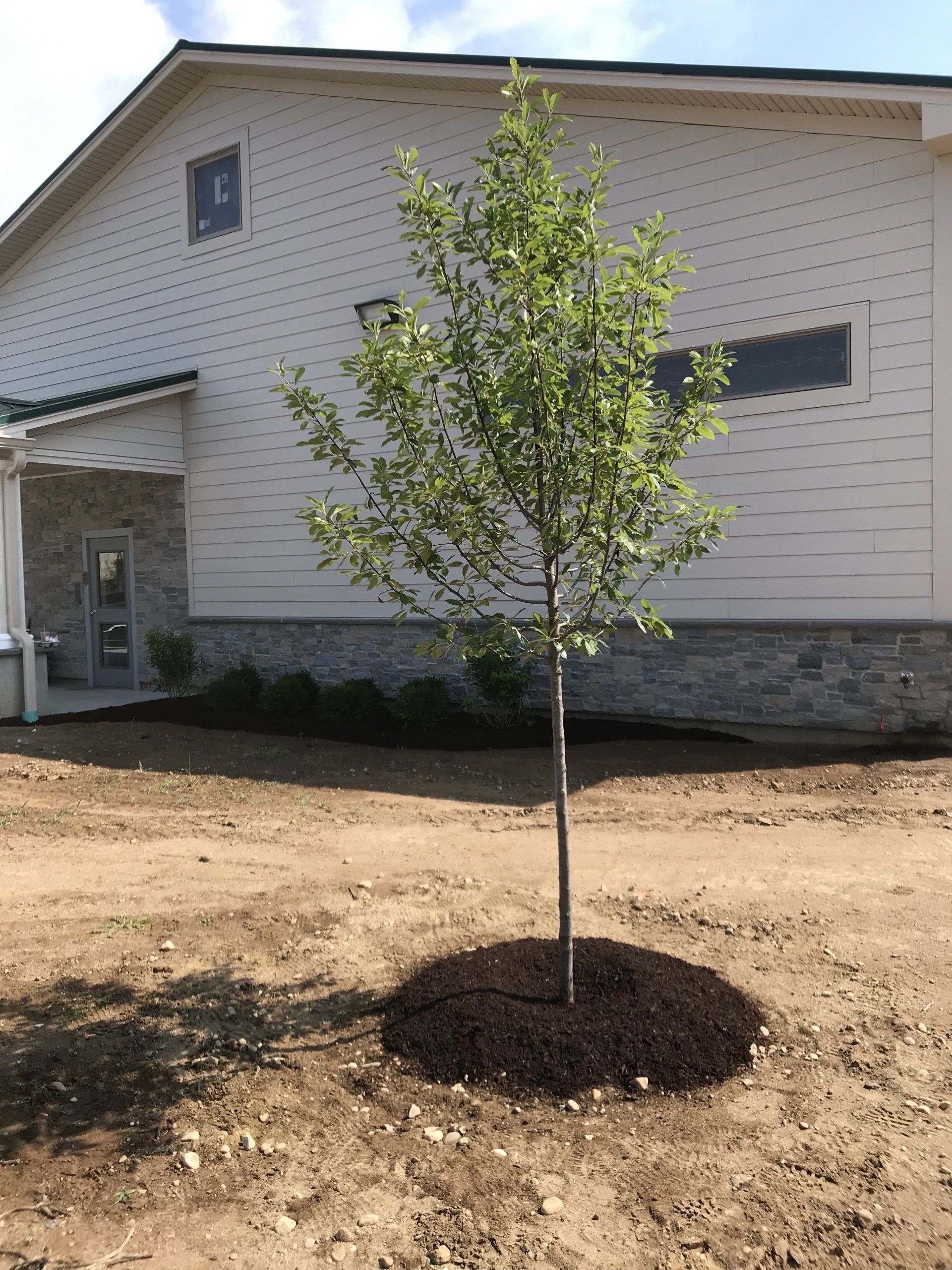 front entry landscapes