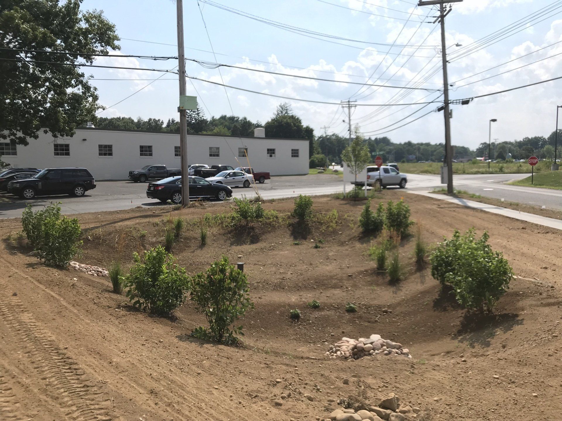 front entry landscapes
