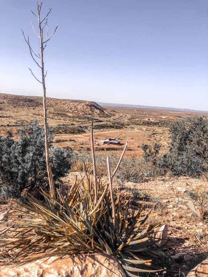 A desert landscape with a cactus in the foreground and a car in the background.