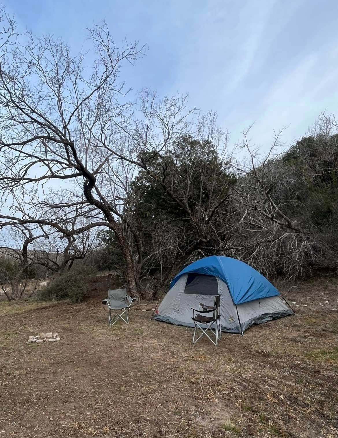 A tent is sitting in the middle of a field next to a tree.