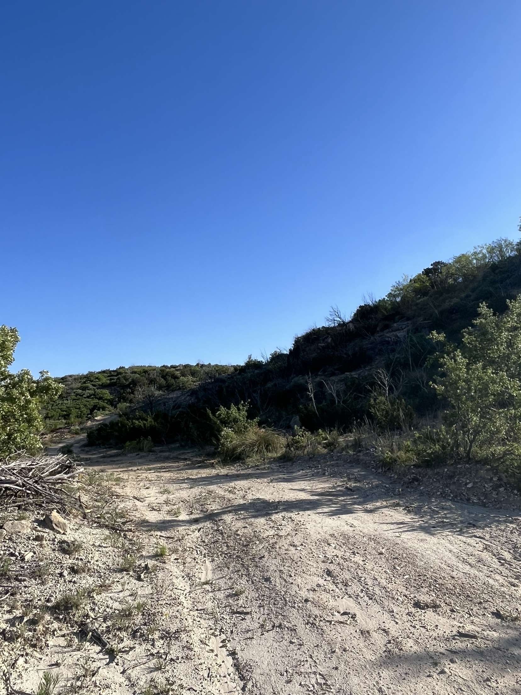 A dirt road with trees on the side of it and a blue sky in the background.