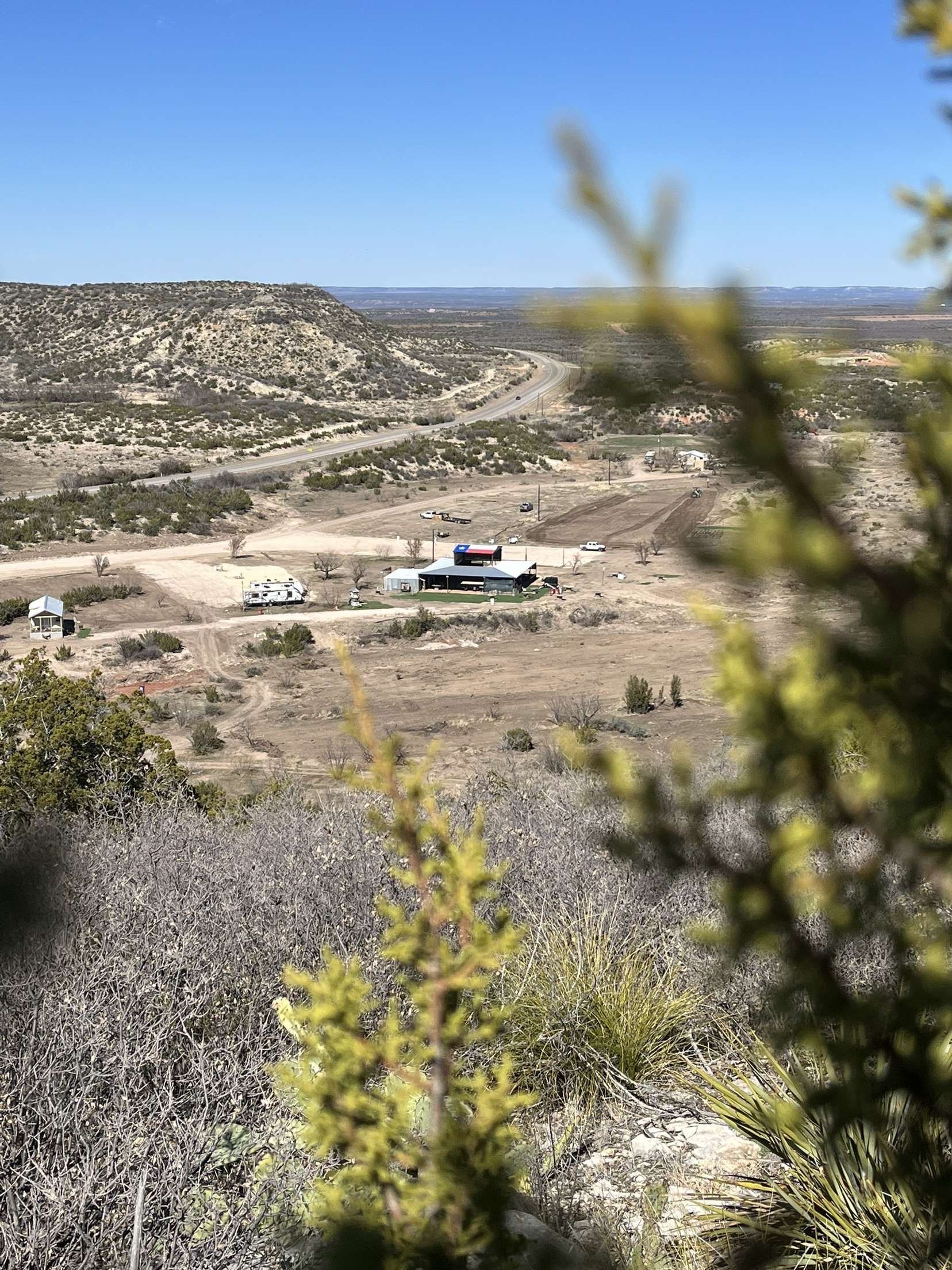 A view of a desert landscape through a tree.