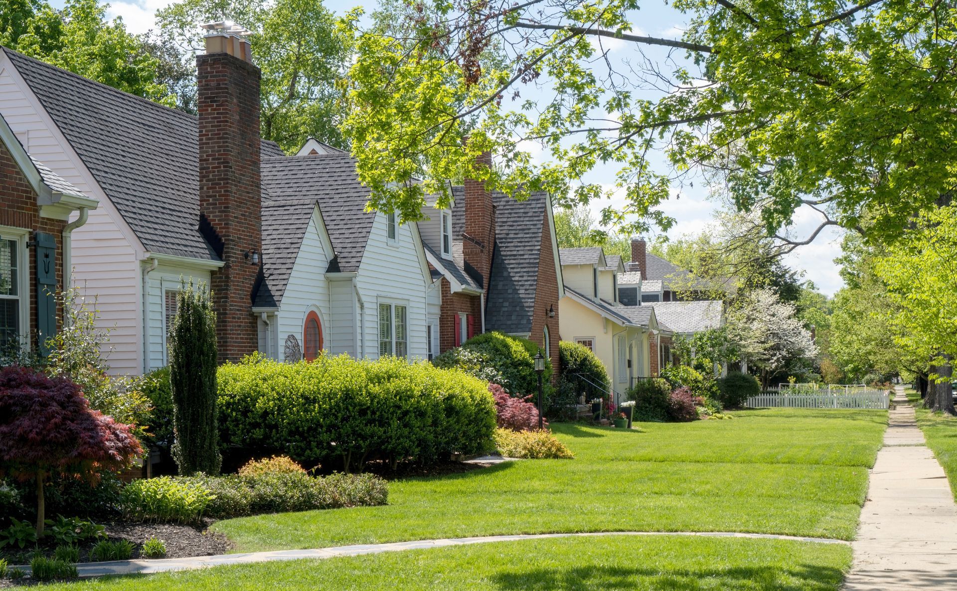 Houses with green lawns and trees line a sunny sidewalk.