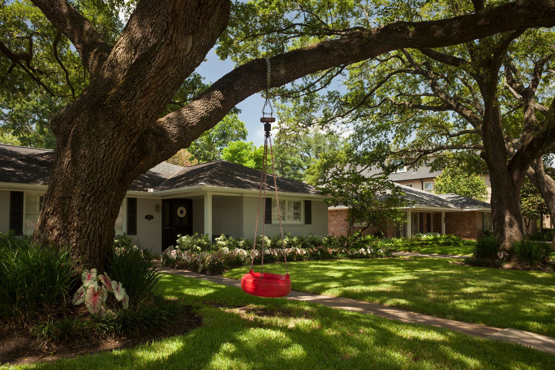 Gray house with a red swing hanging from a large oak tree in a sunny yard.