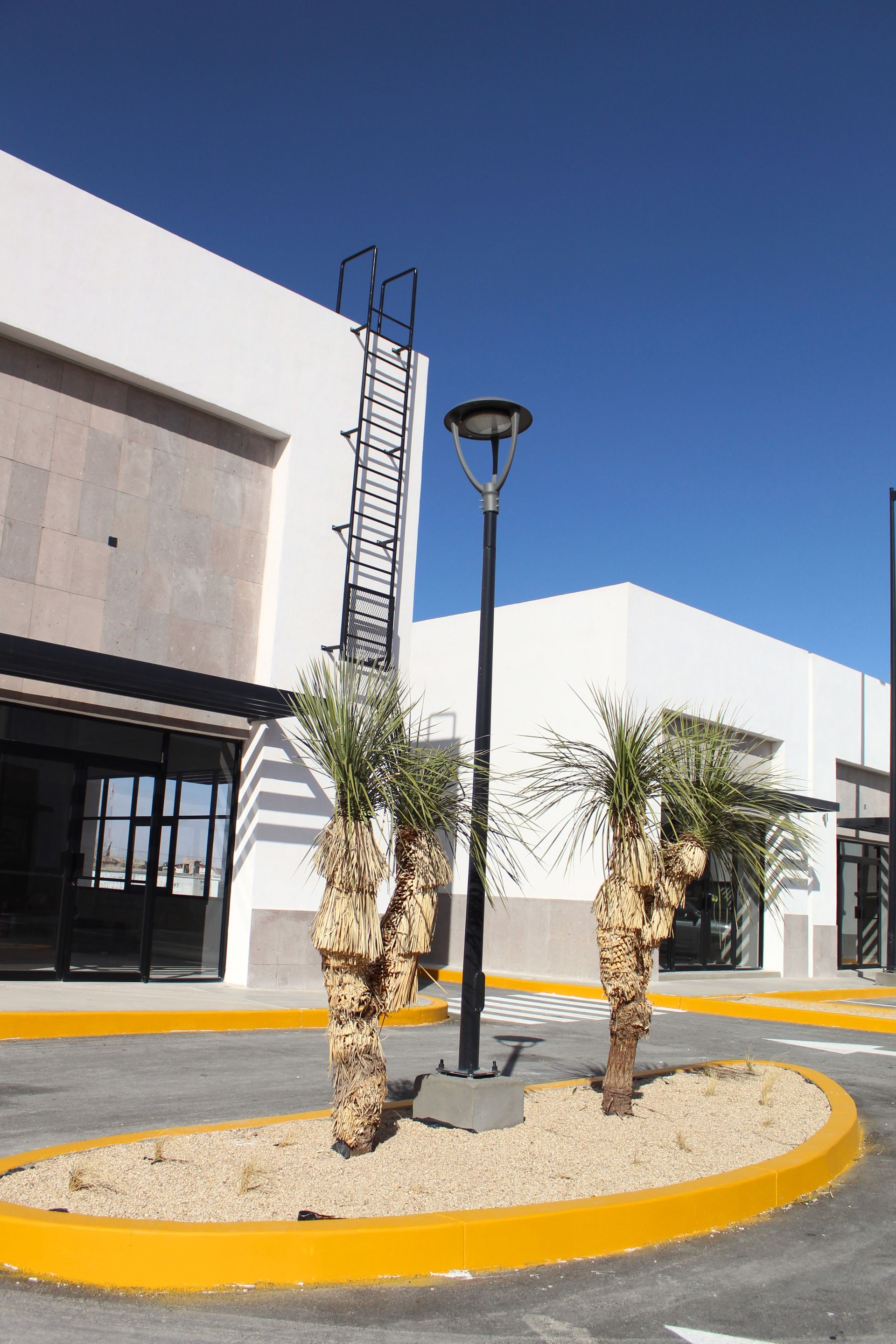 multijardin - Proyecto Plaza Market Porvenir