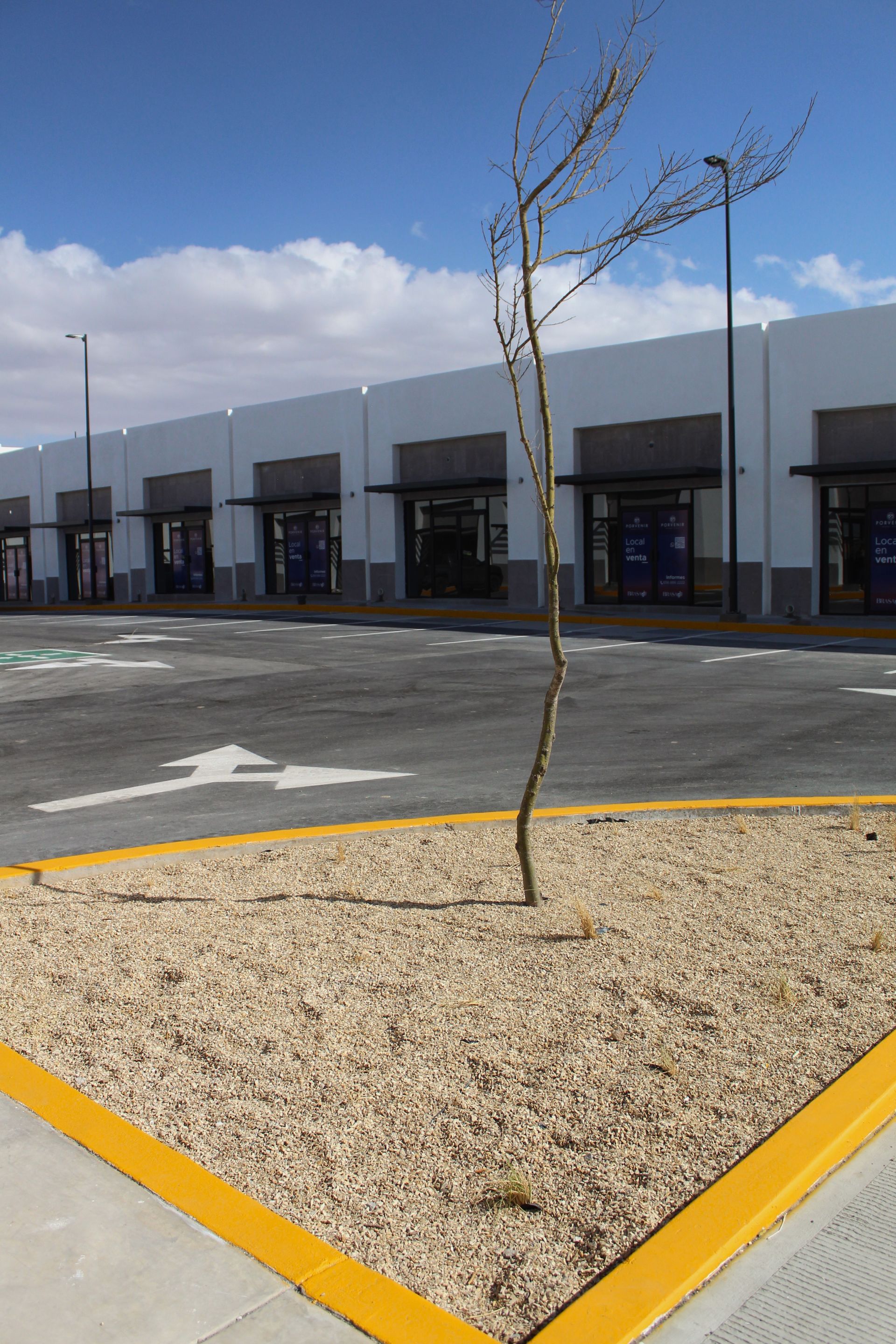 multijardin - Proyecto Plaza Market Porvenir