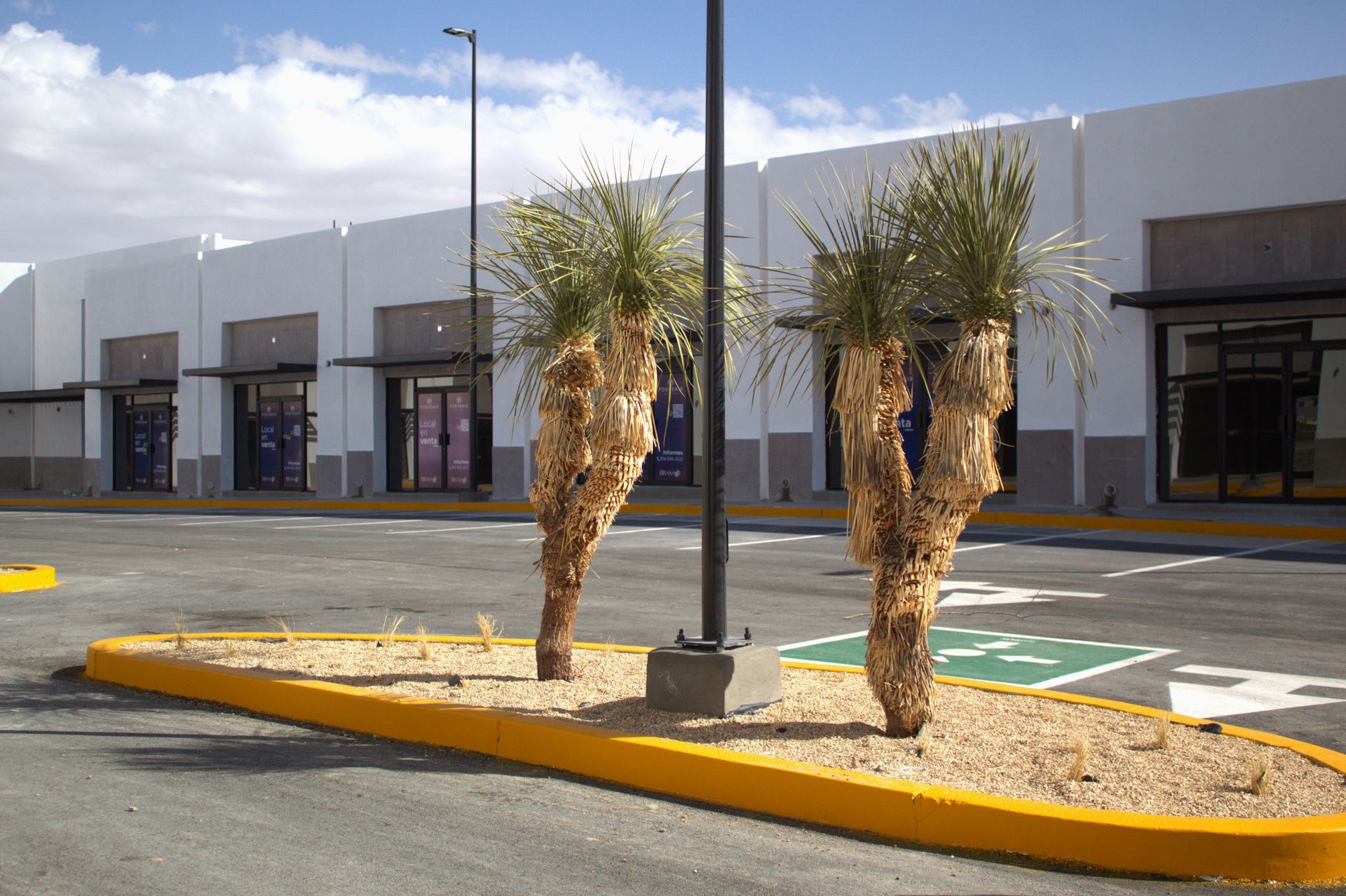 multijardin - Proyecto Plaza Market Porvenir