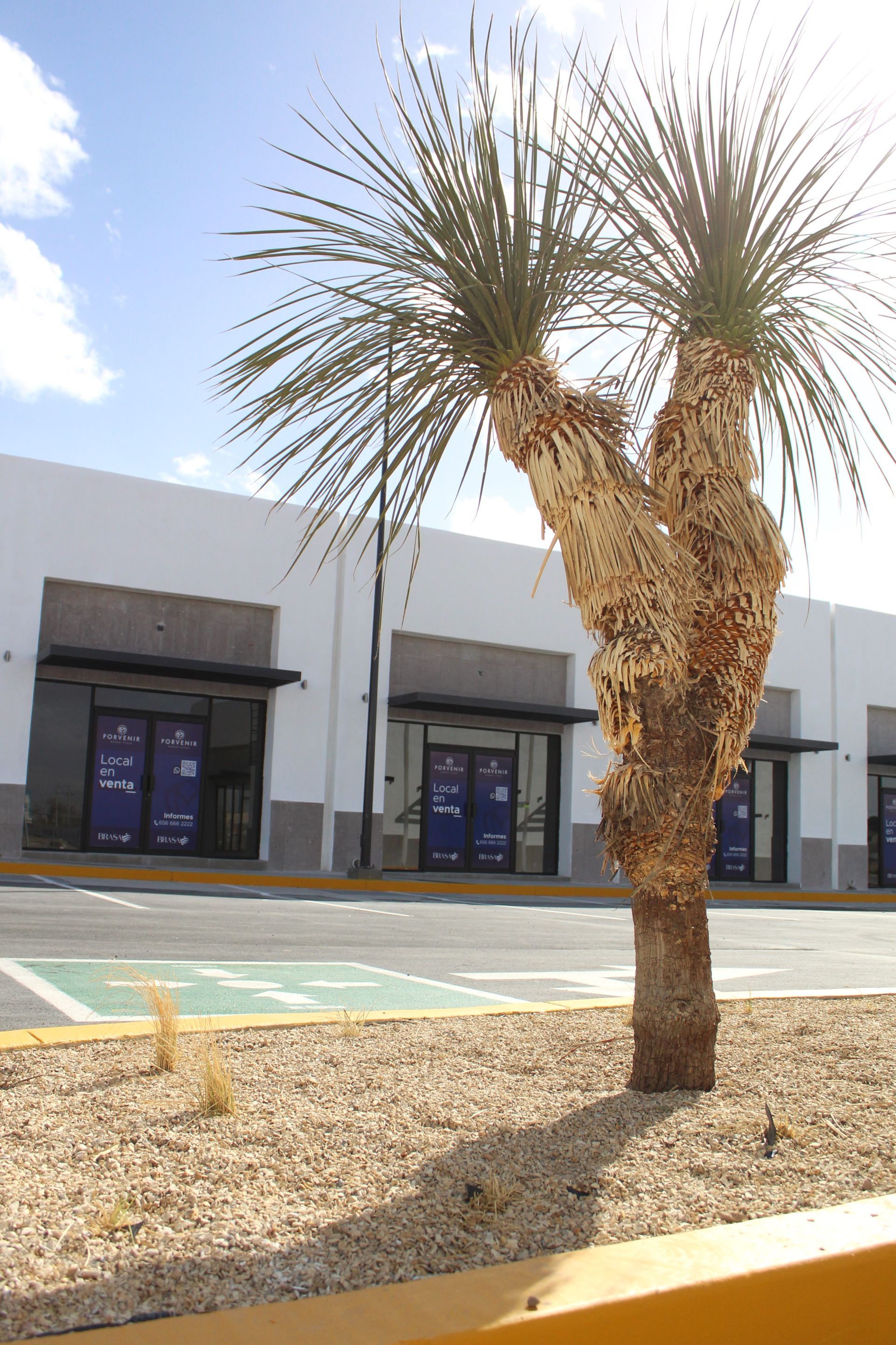 multijardin - Proyecto Plaza Market Porvenir