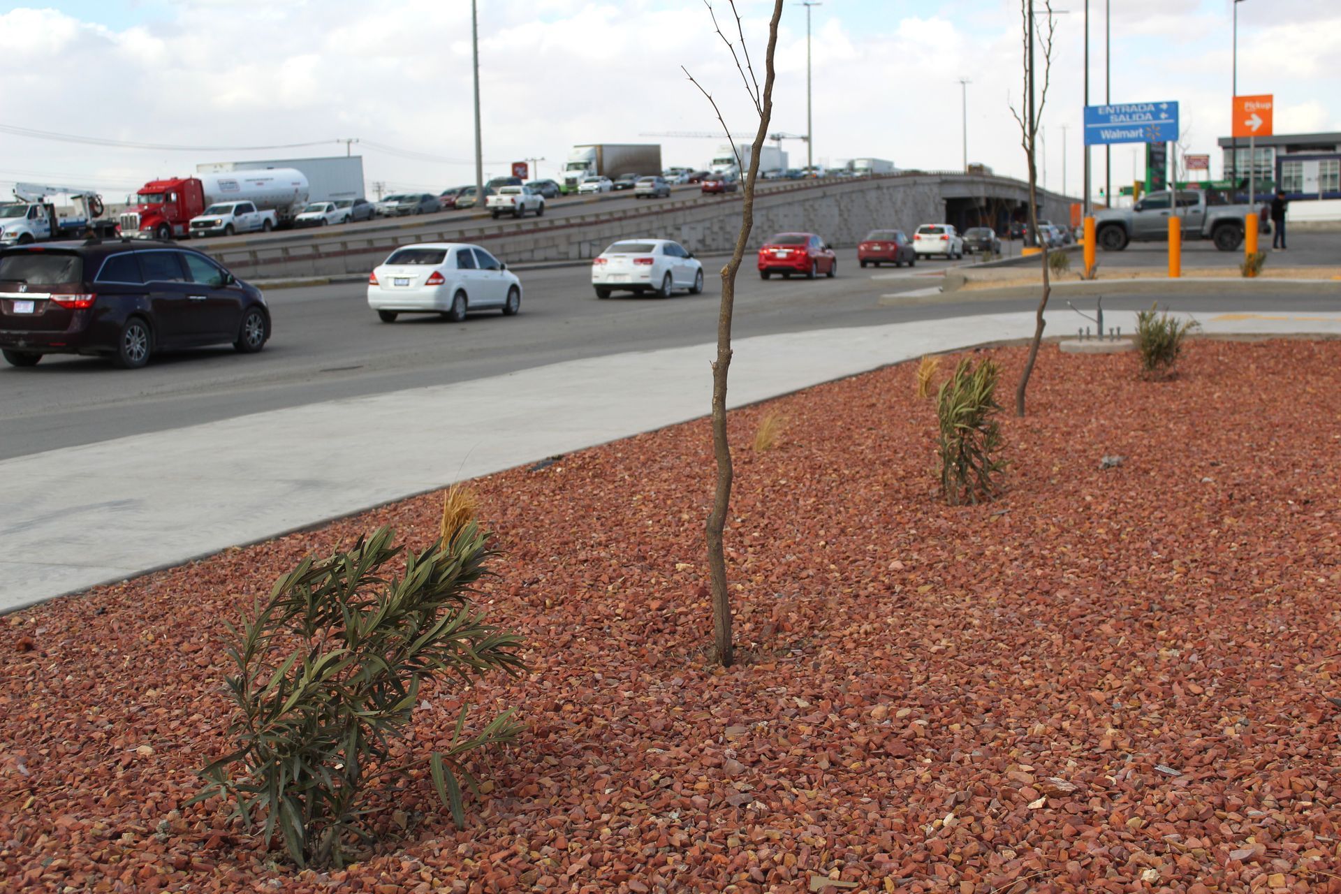 MULTIJARDÍN - Proyecto Walmart Porvenir