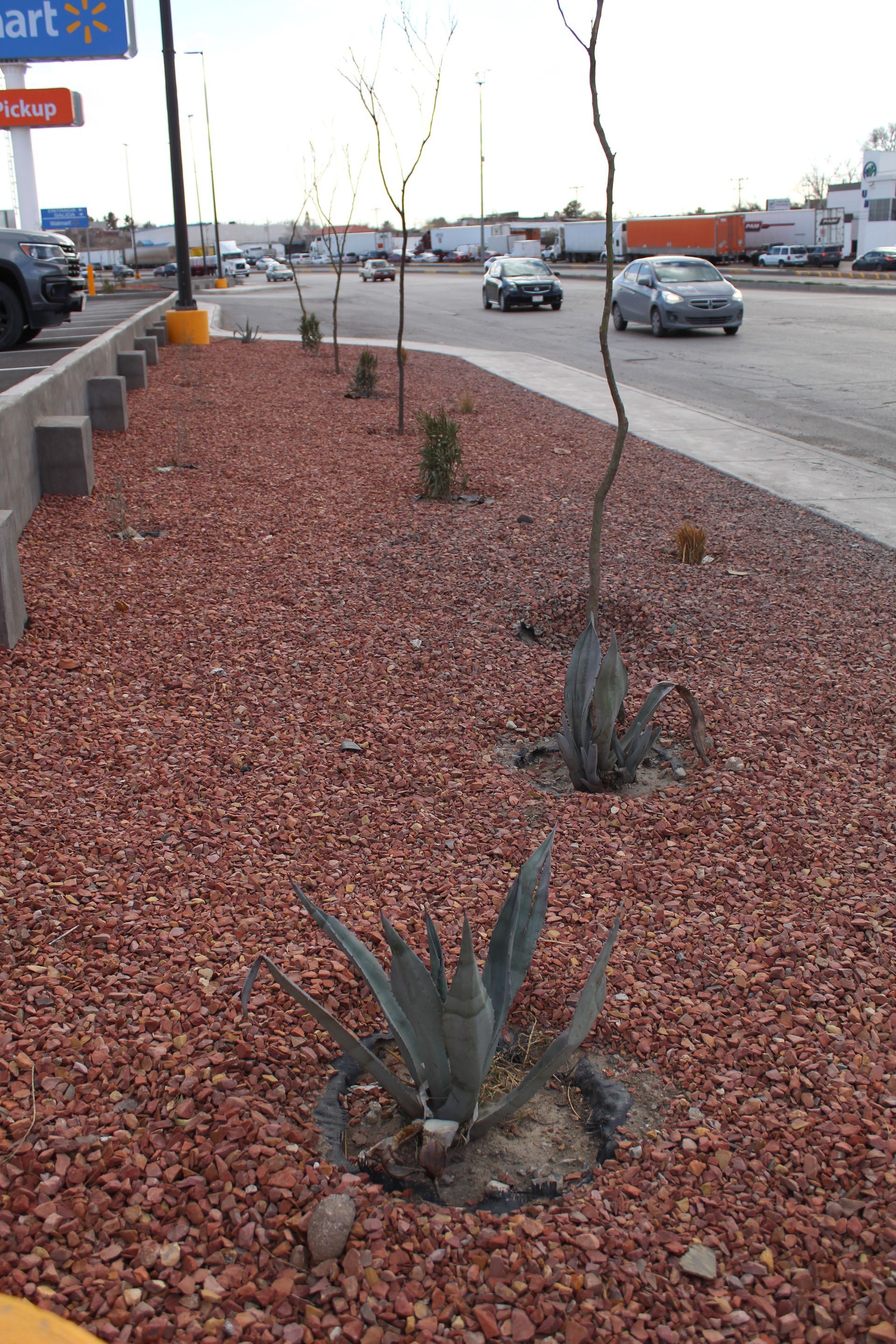 MULTIJARDÍN - Proyecto Walmart Porvenir