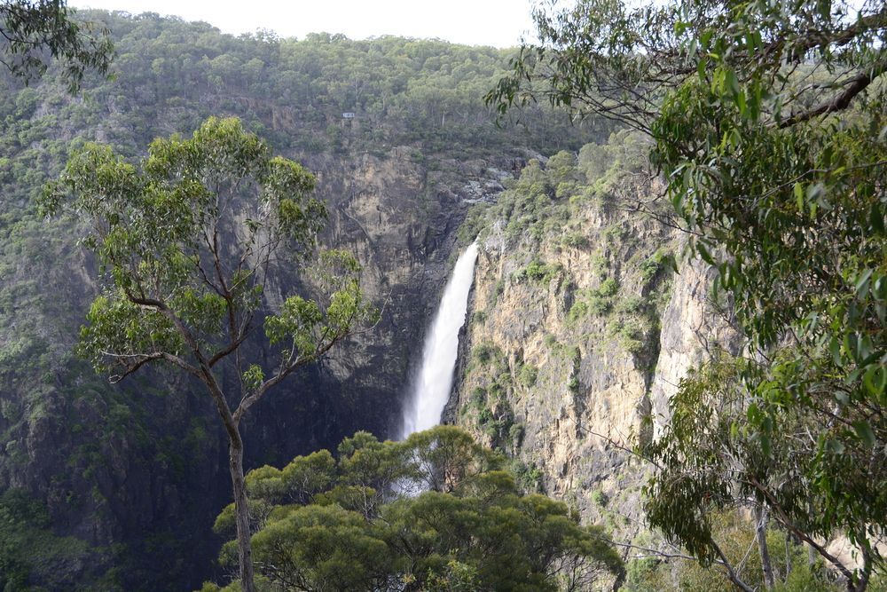 A Waterfall is Surrounded by Trees and Cliffs in the Middle of a Forest — Premiair Refrigeration & Electrical Supplies In Armidale, NSW